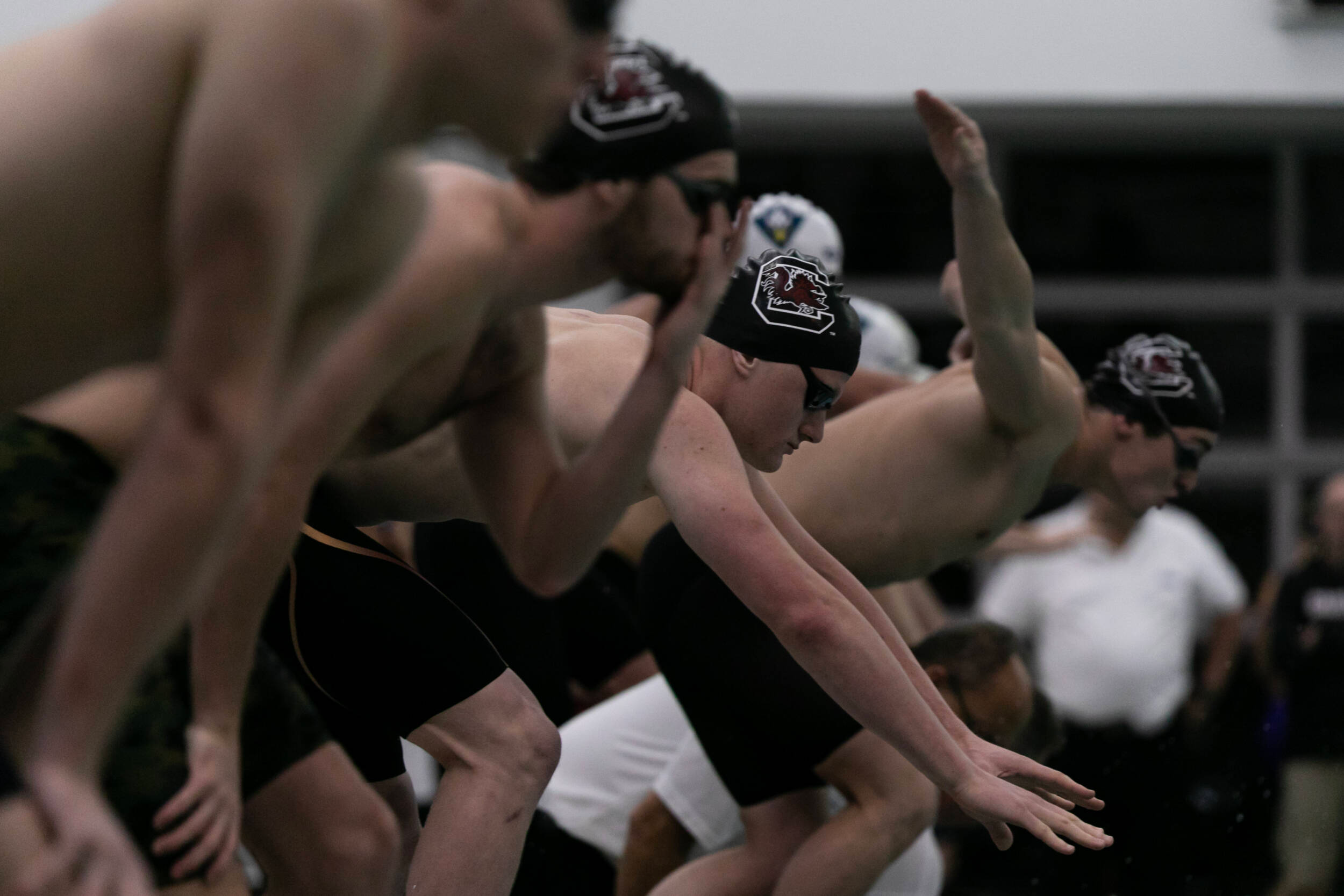 Gamecock Swimmers Return to Dual Action Against UNCW