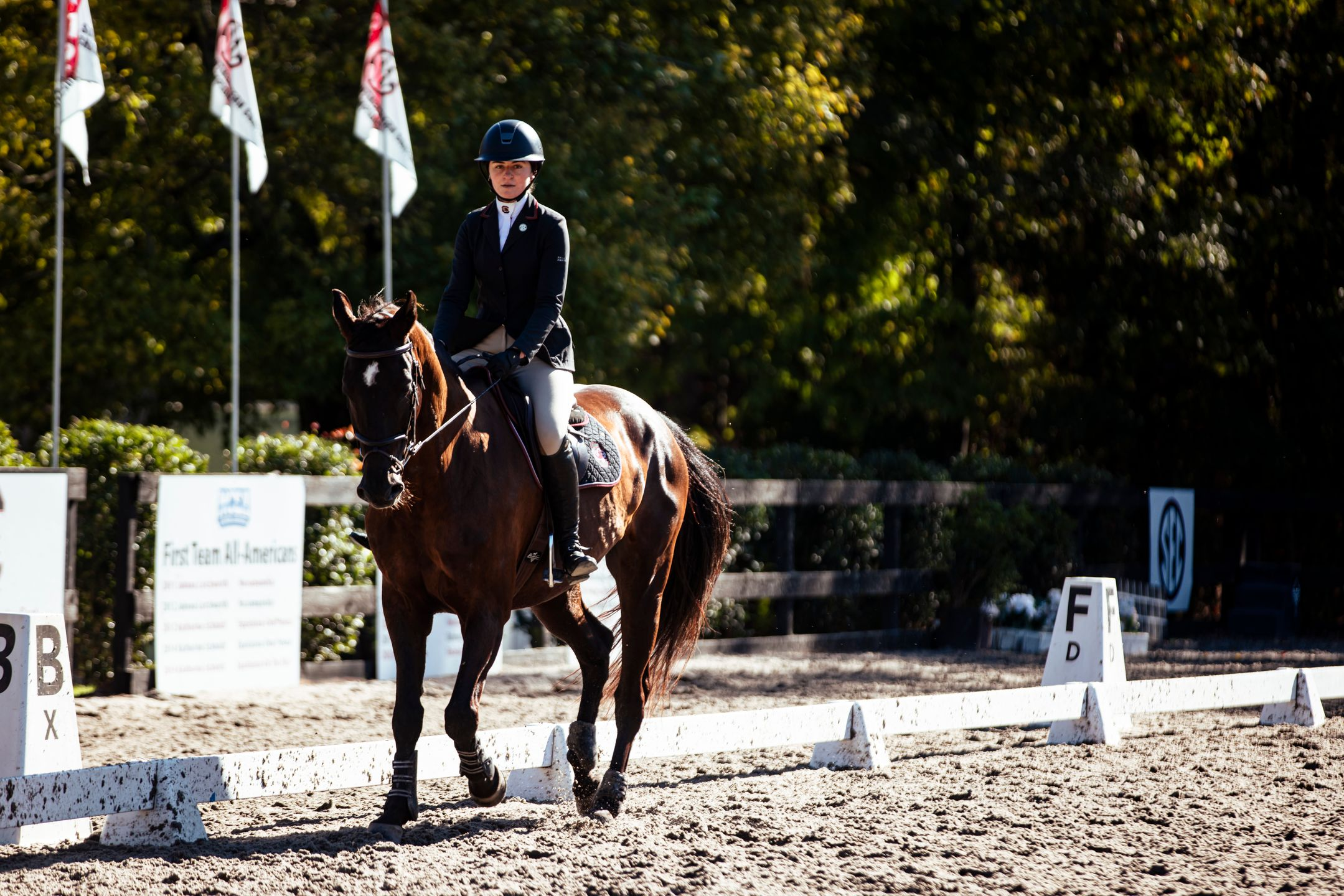 Equestrian Defeats Sweet Briar in Final Meet of the Fall