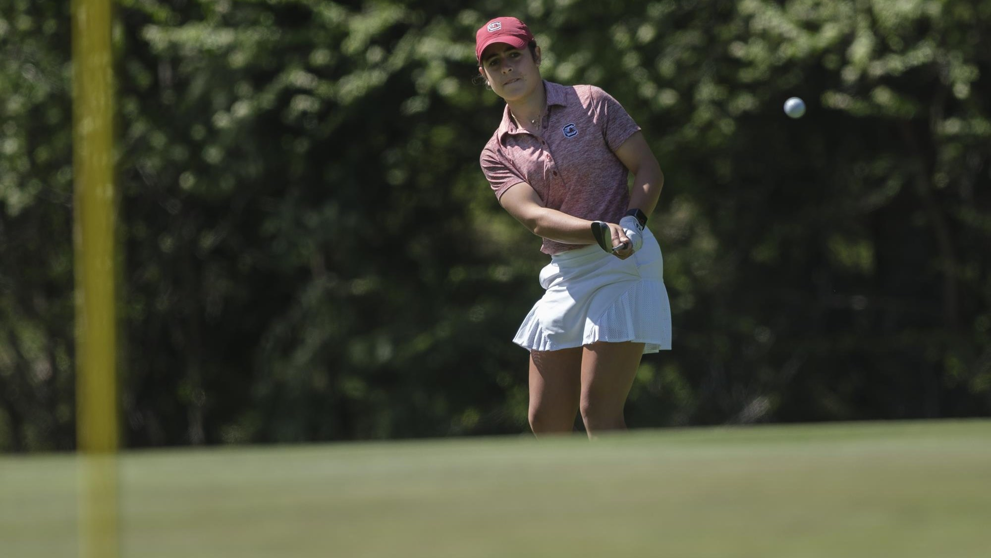 Gamecocks in Seventh After Two at ANNIKA Intercollegiate