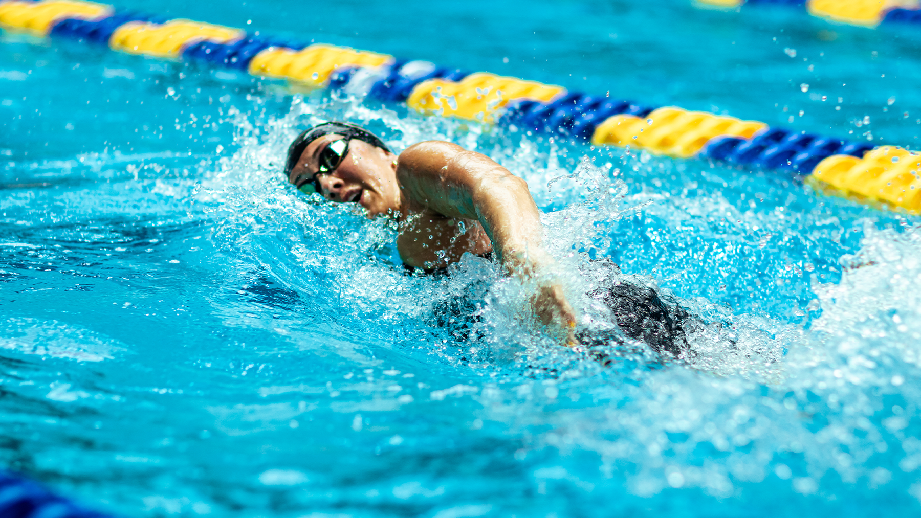 Women’s Swimming & Diving Sends 12 Gamecocks to NCAA Championships