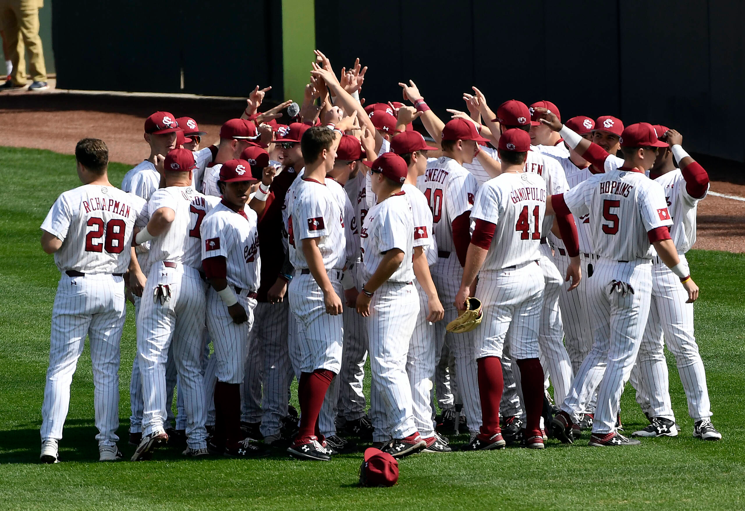 Baseball vs. Clemson (March 2, 2019)