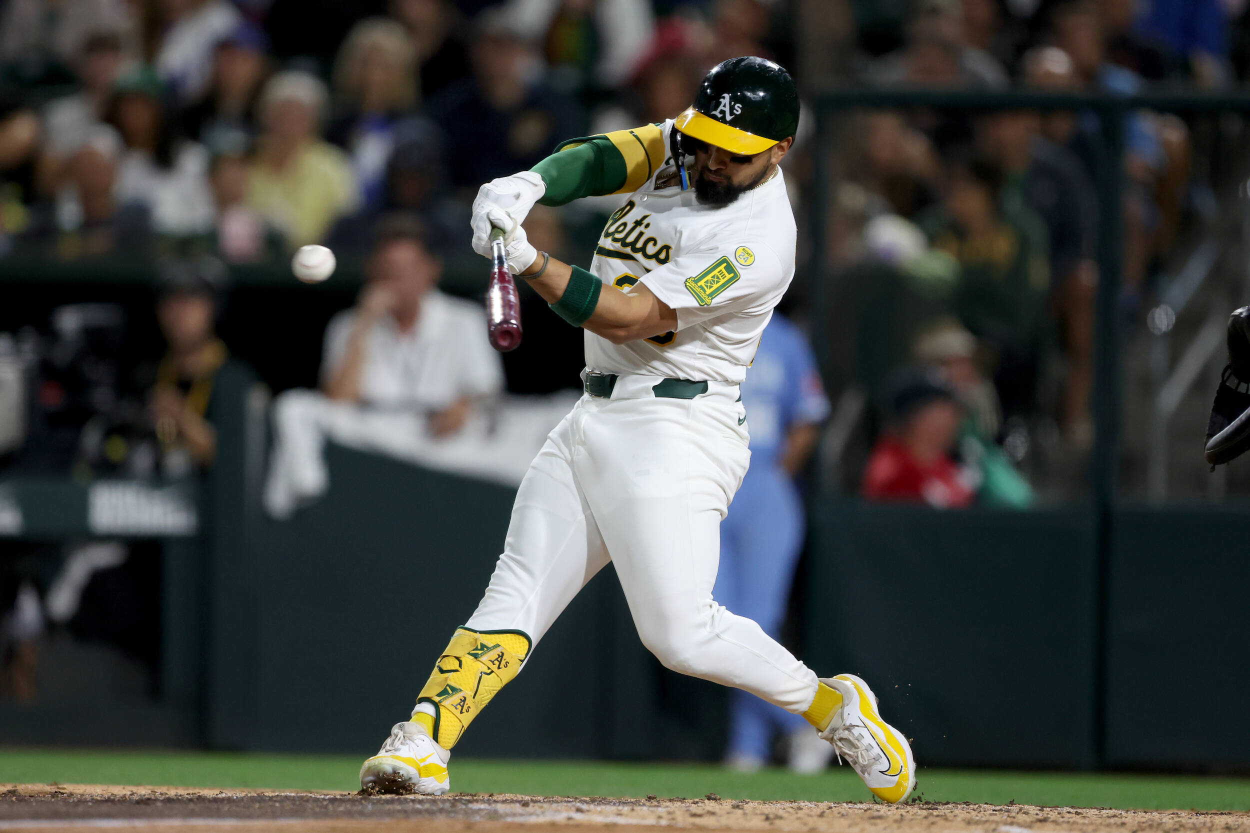 Gamecocks in the Show Wrap-Up