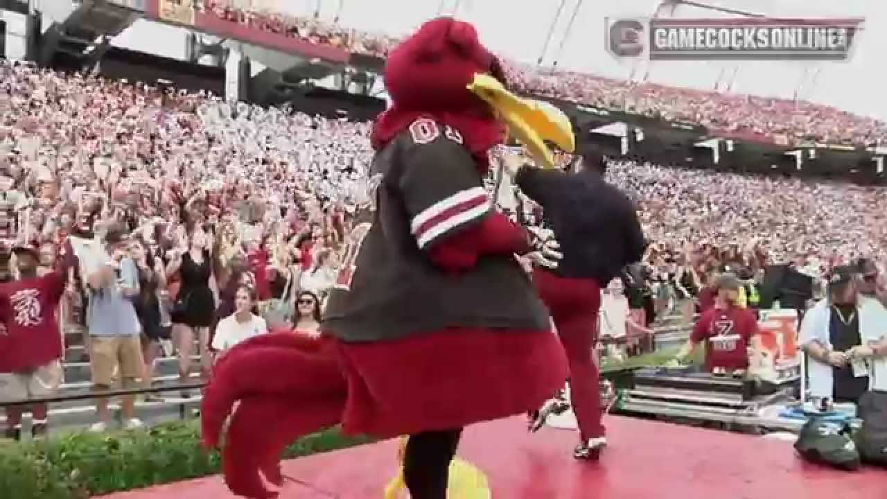 Sights & Sounds: South Carolina vs. Georgia