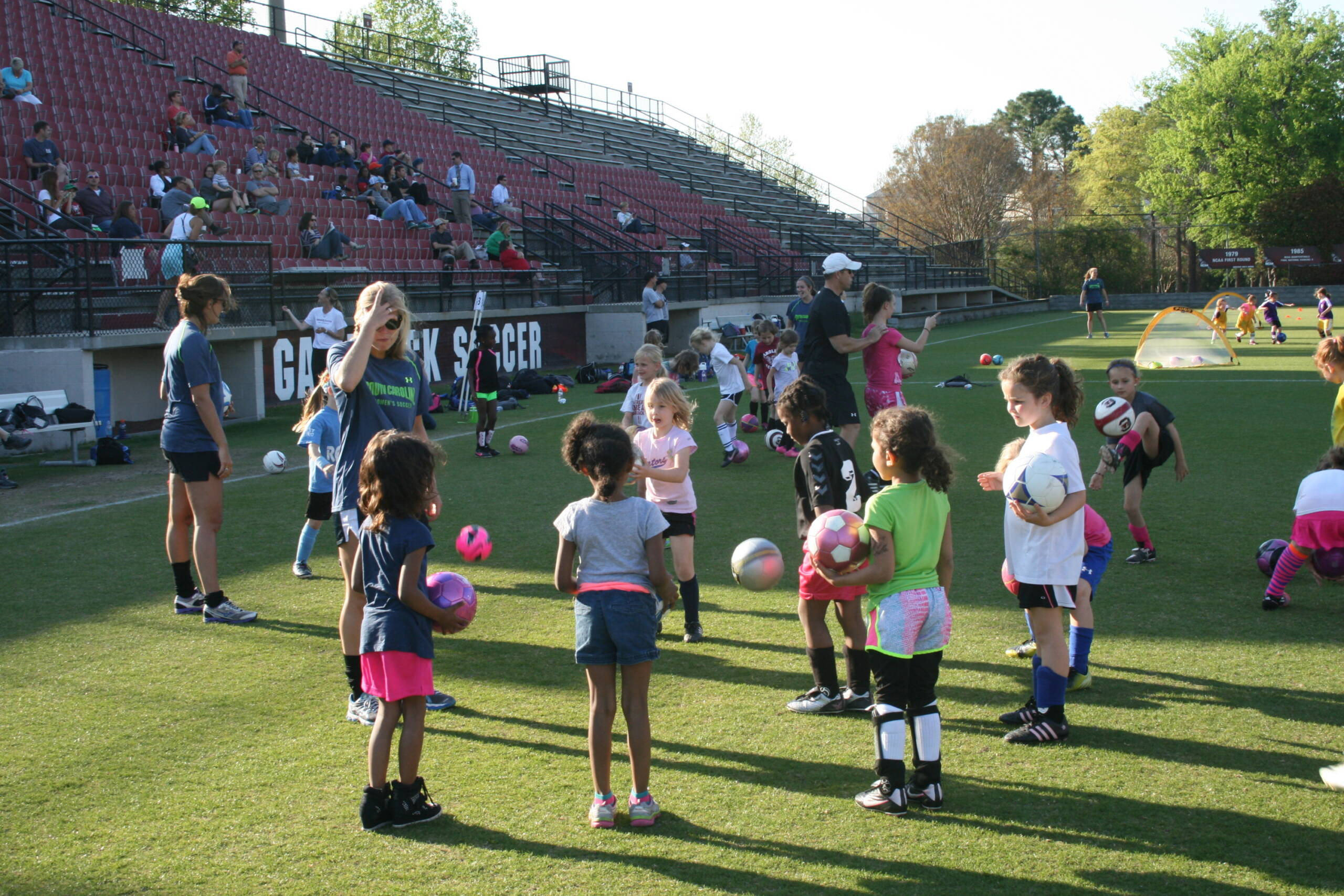 Fan Appreciation Clinic