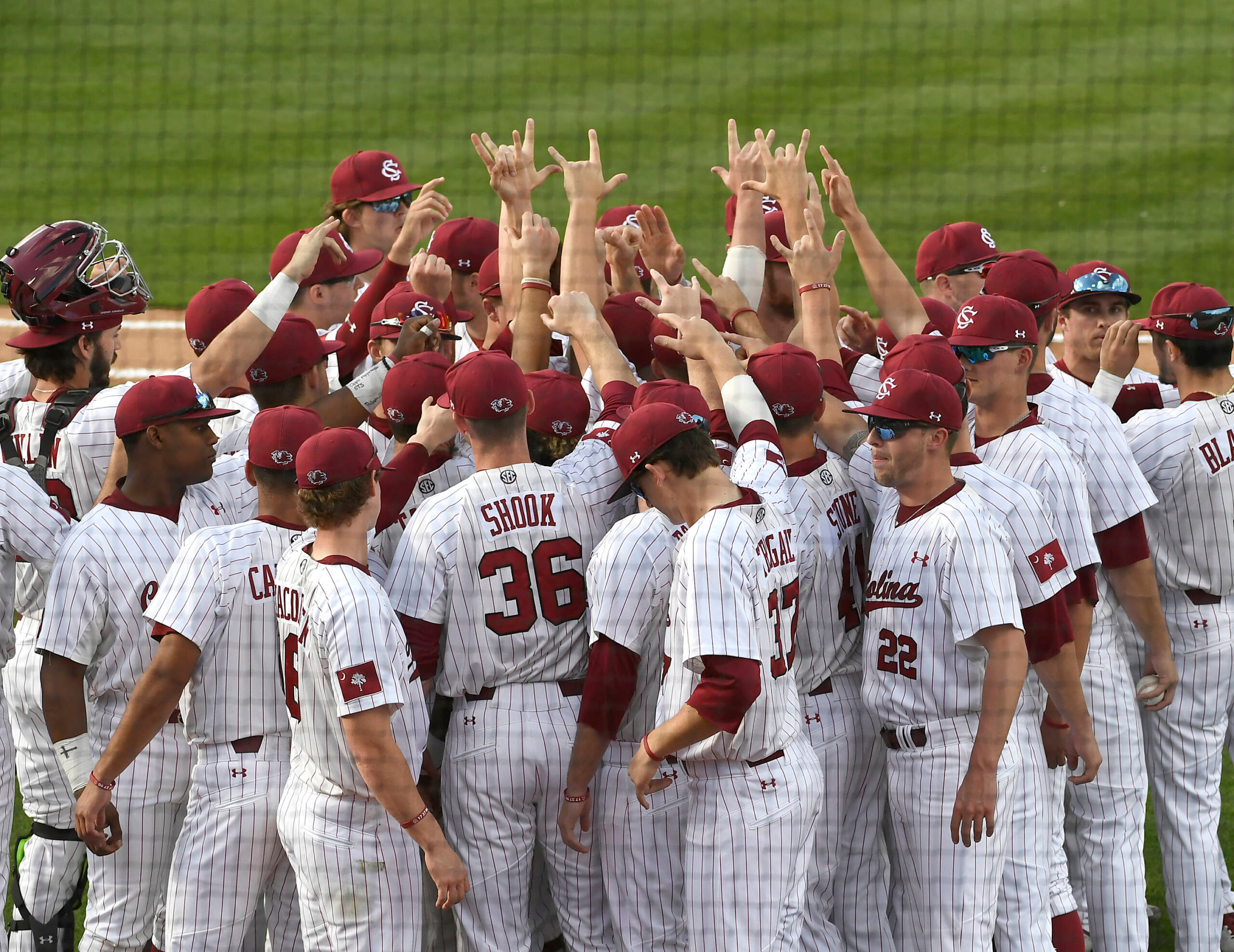 Baseball Faces Clemson in Palmetto State Showdown
