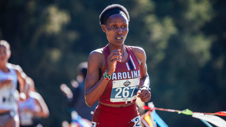 University of South Carolina Athletics