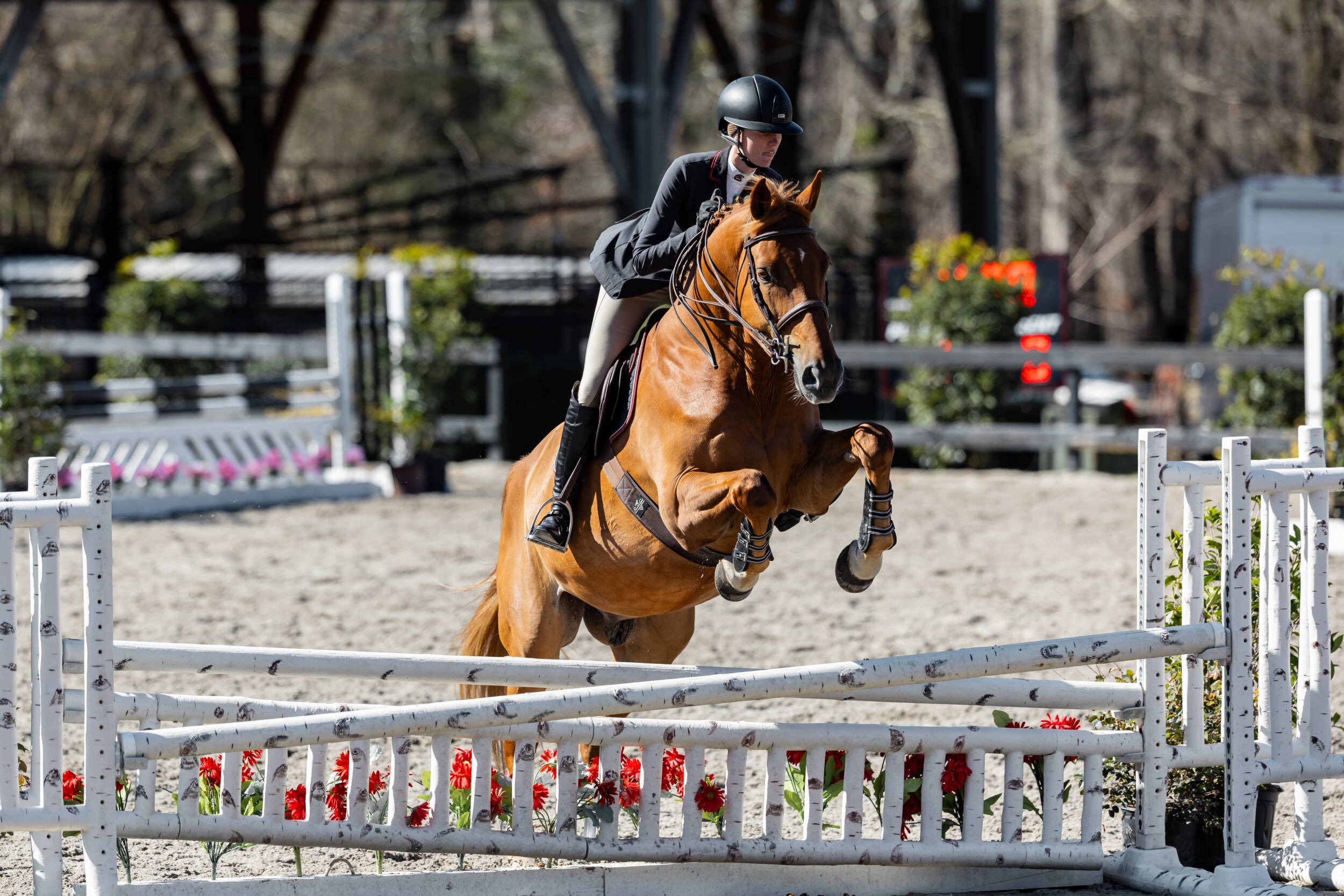 Gamecocks Set for Top-5 Matchup