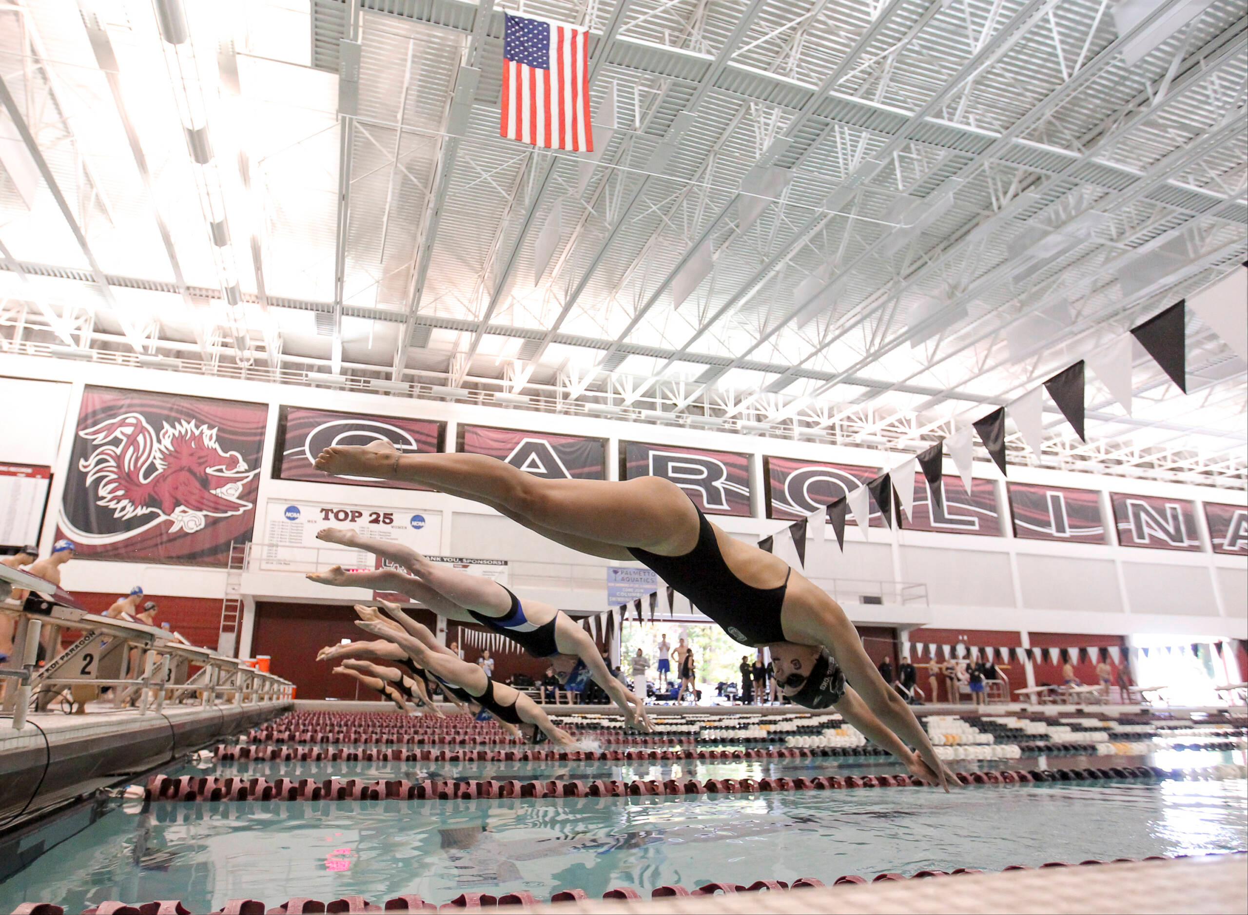 Swimming and Diving Heads to Texas A&M Friday