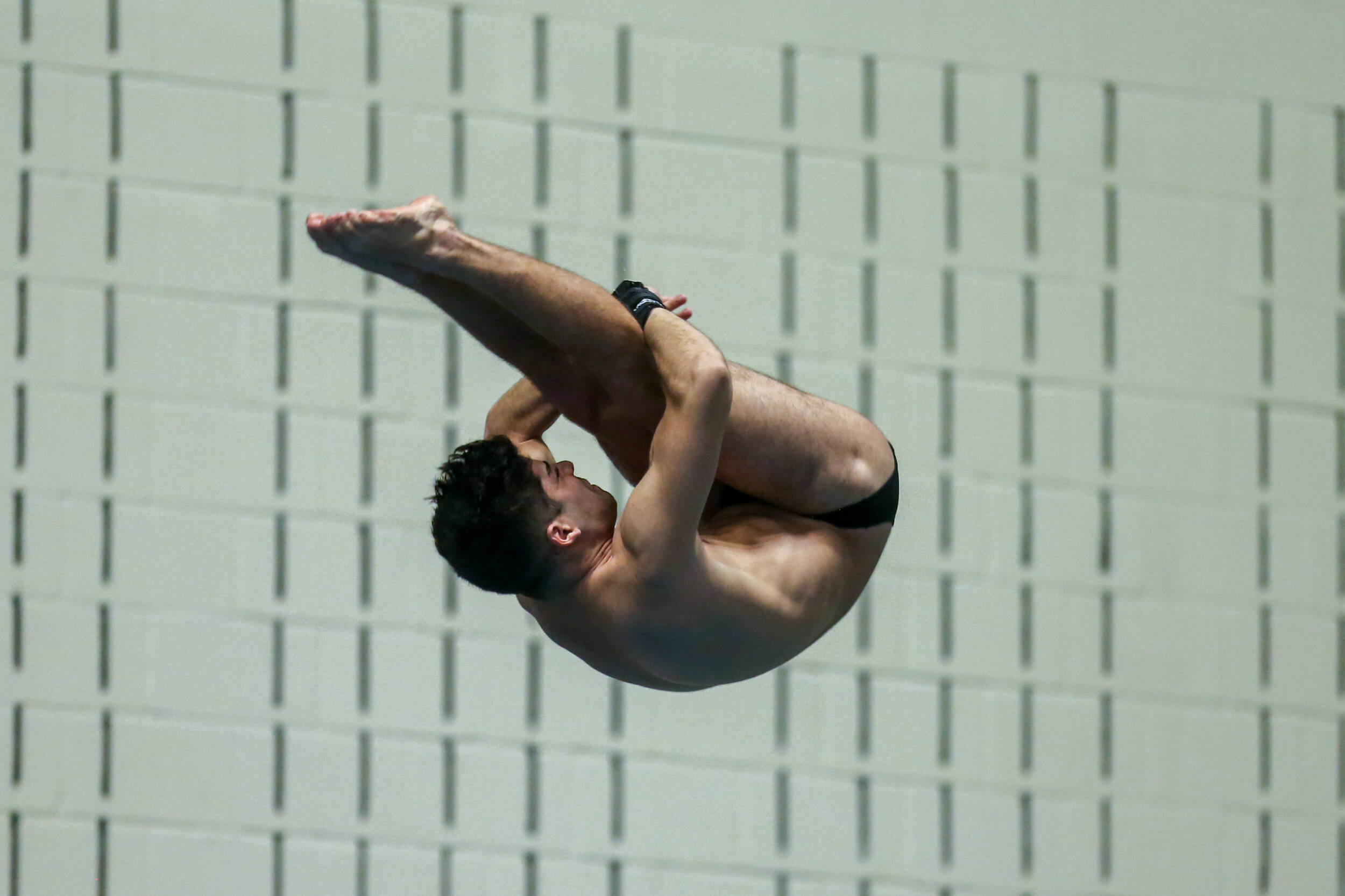 Gamecock Divers in Search of NCAA Qualifications at Zone B Championships