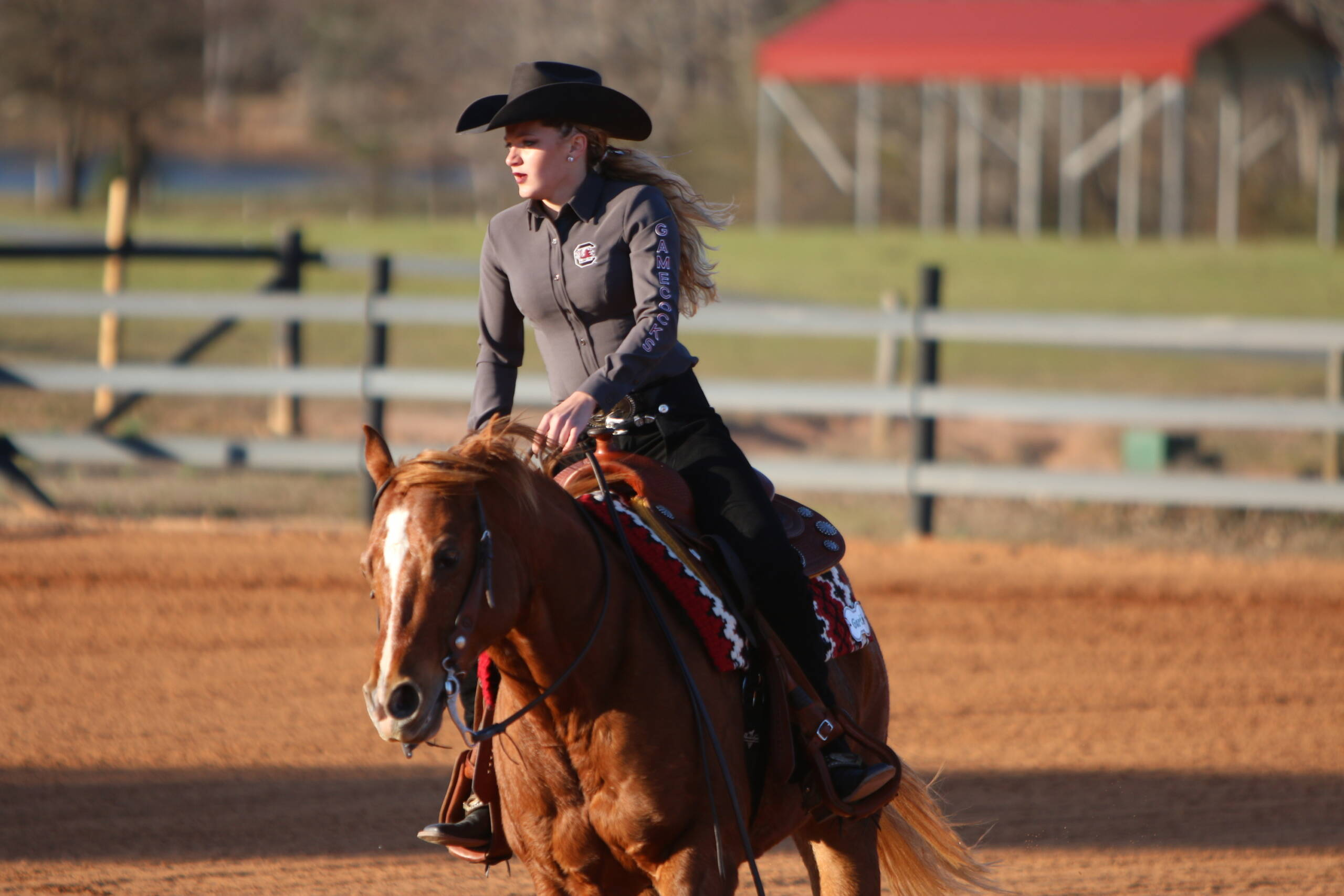 Gute Represents Carolina Equestrian at NRHA Collegiate Reining Championship