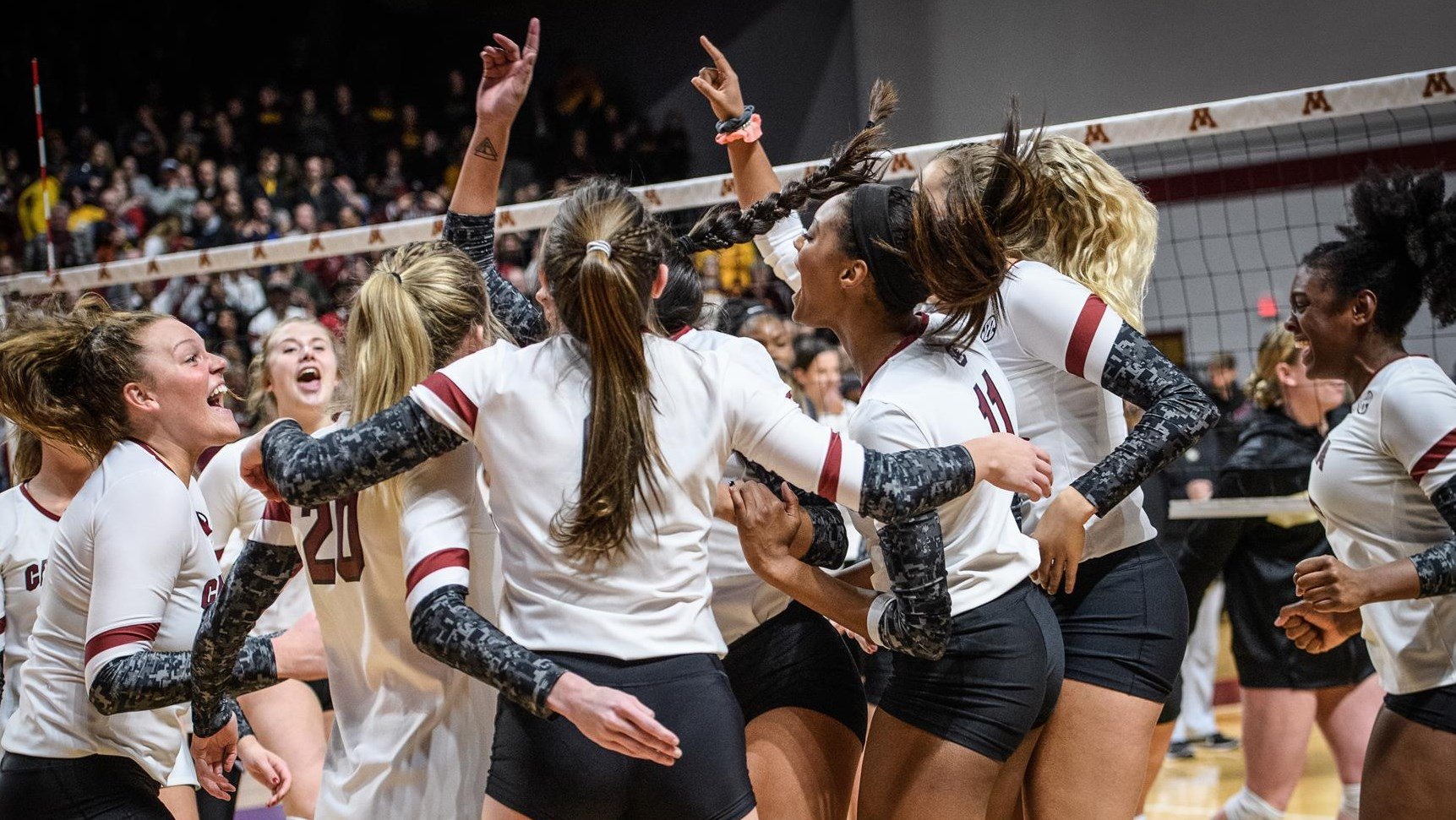 Gamecocks Earn AVCA Team Academic Honors