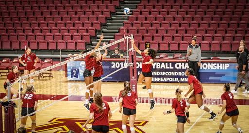 The Gamecocks practice at the Maturi Pavilion, home court of the University of Minnesota.