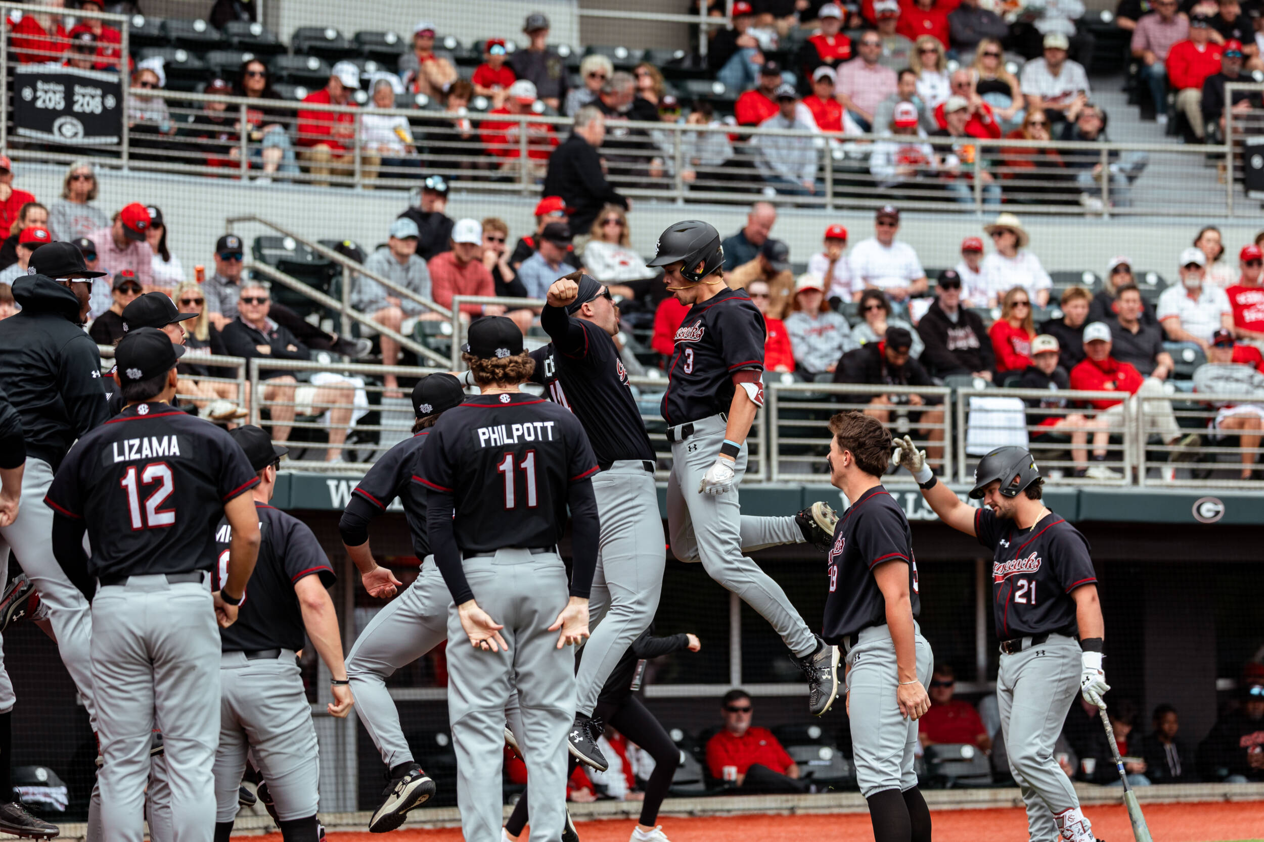 Gamecock Baseball Notebook