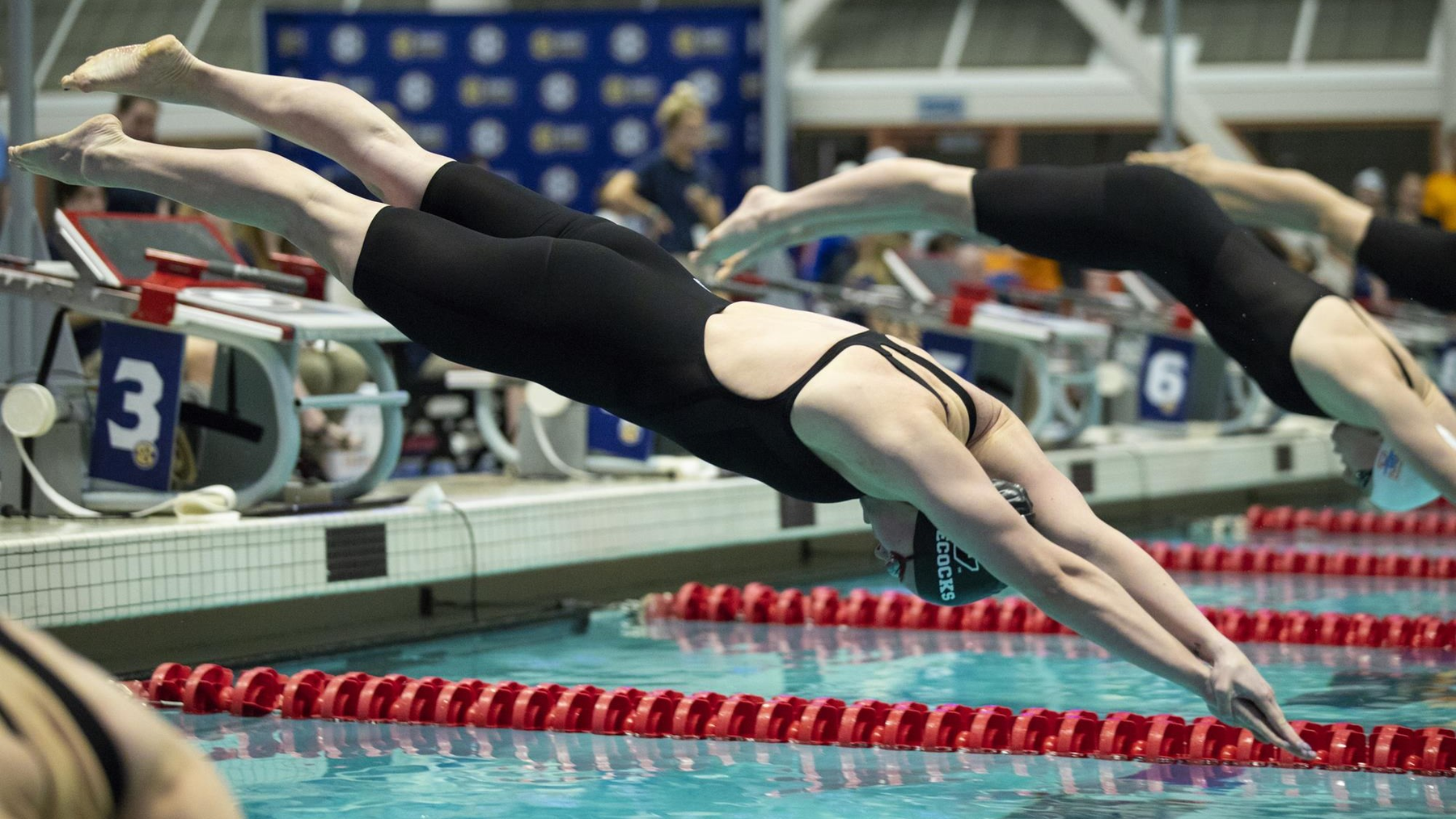 Gamecocks Excel, Lappin Breaks 100 Butterfly Record Twice