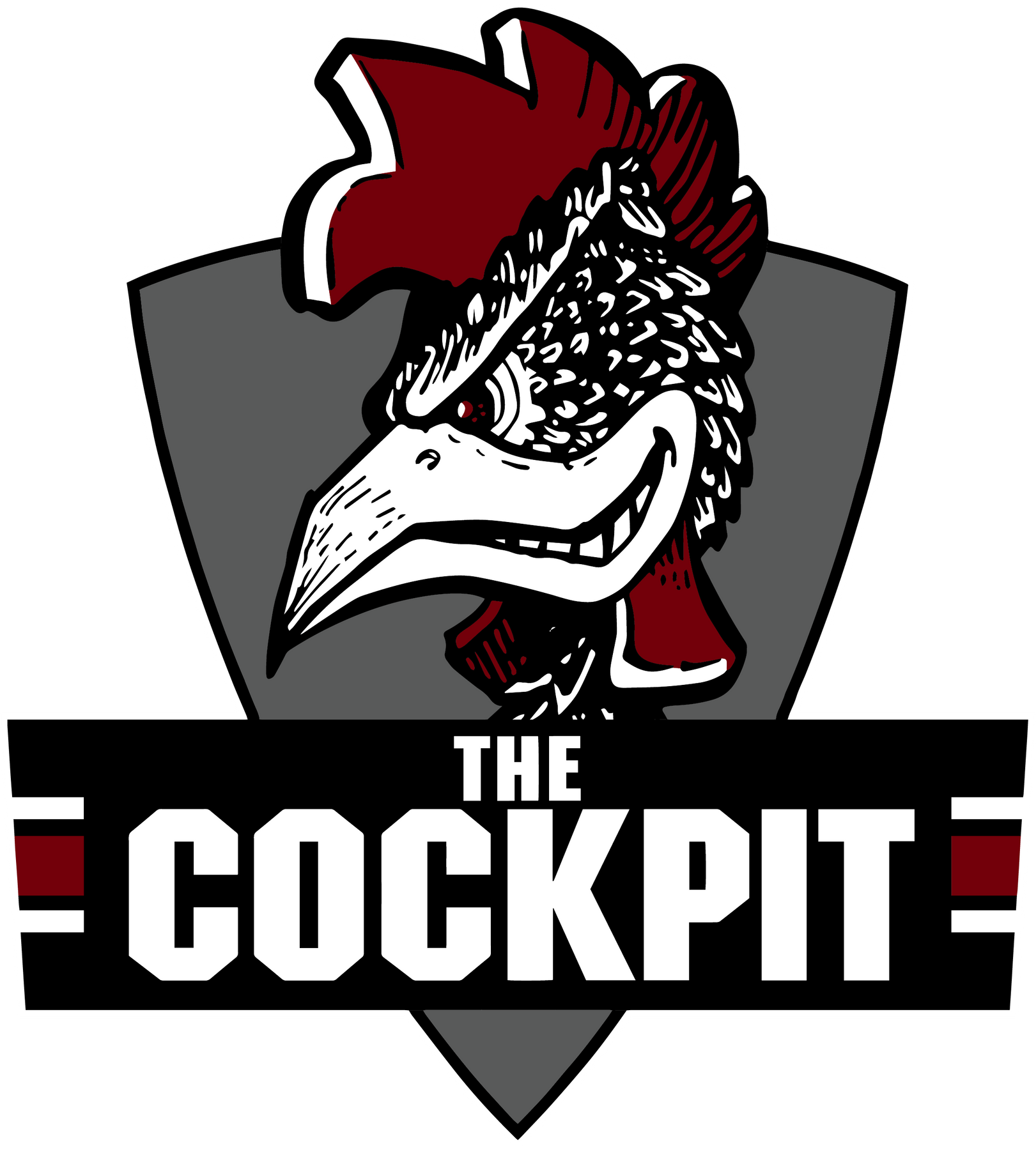 Cockpit – University of South Carolina Athletics