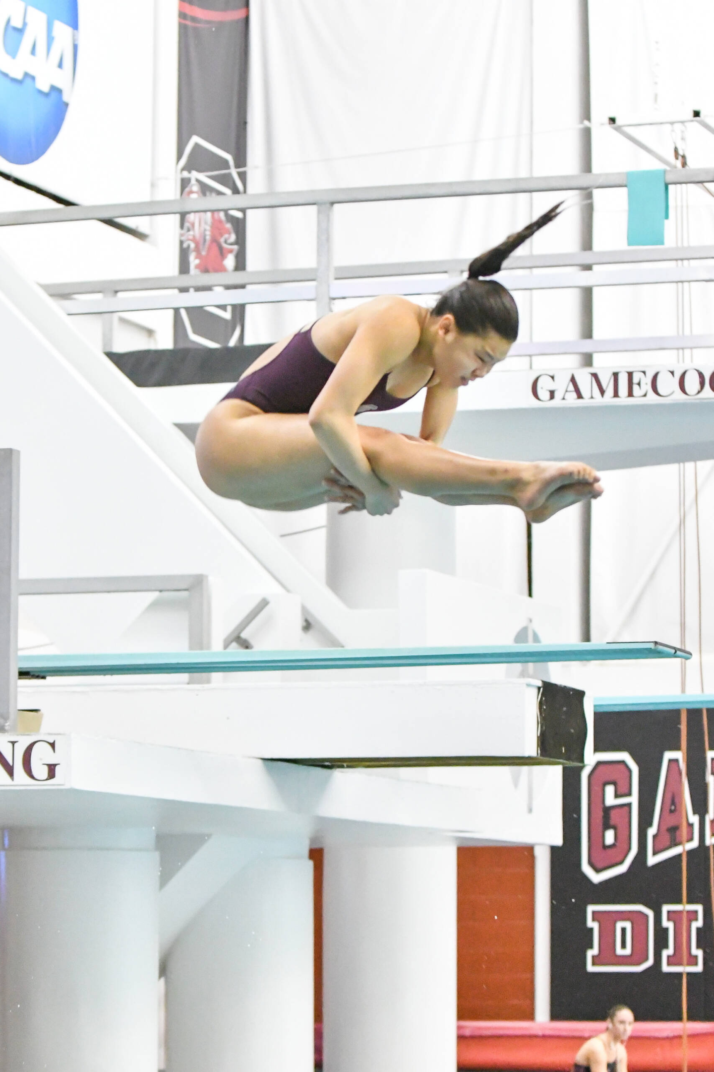Three Gamecocks Compete in Three Meter Finals