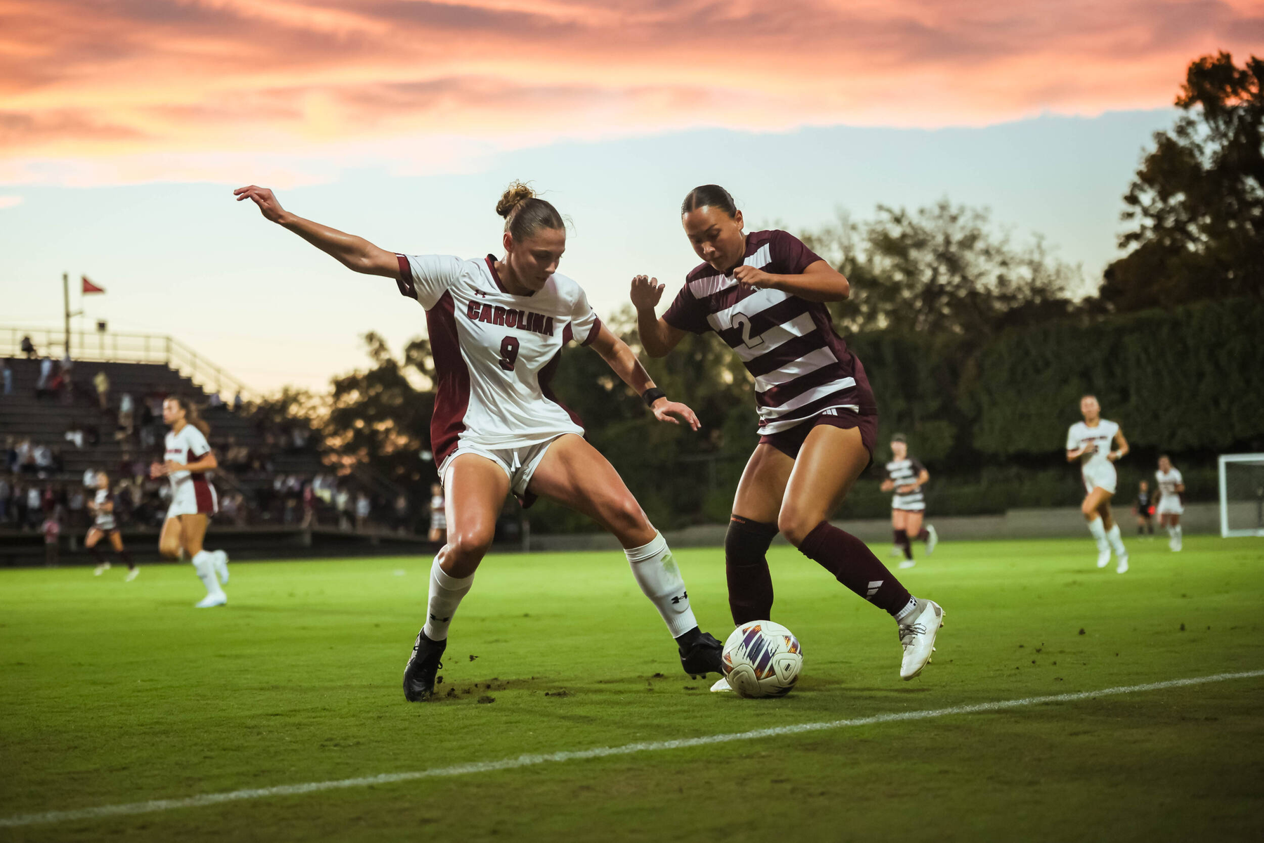 Gamecocks Draw with Aggies
