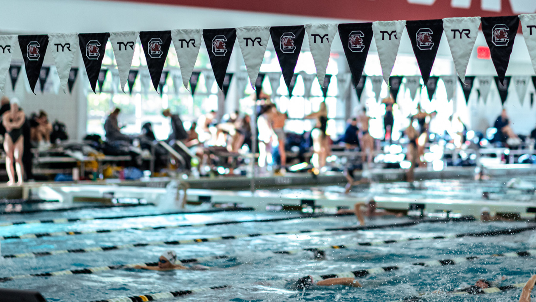 Eight Gamecocks Named to CSC Academic All-District Swimming & Diving Team