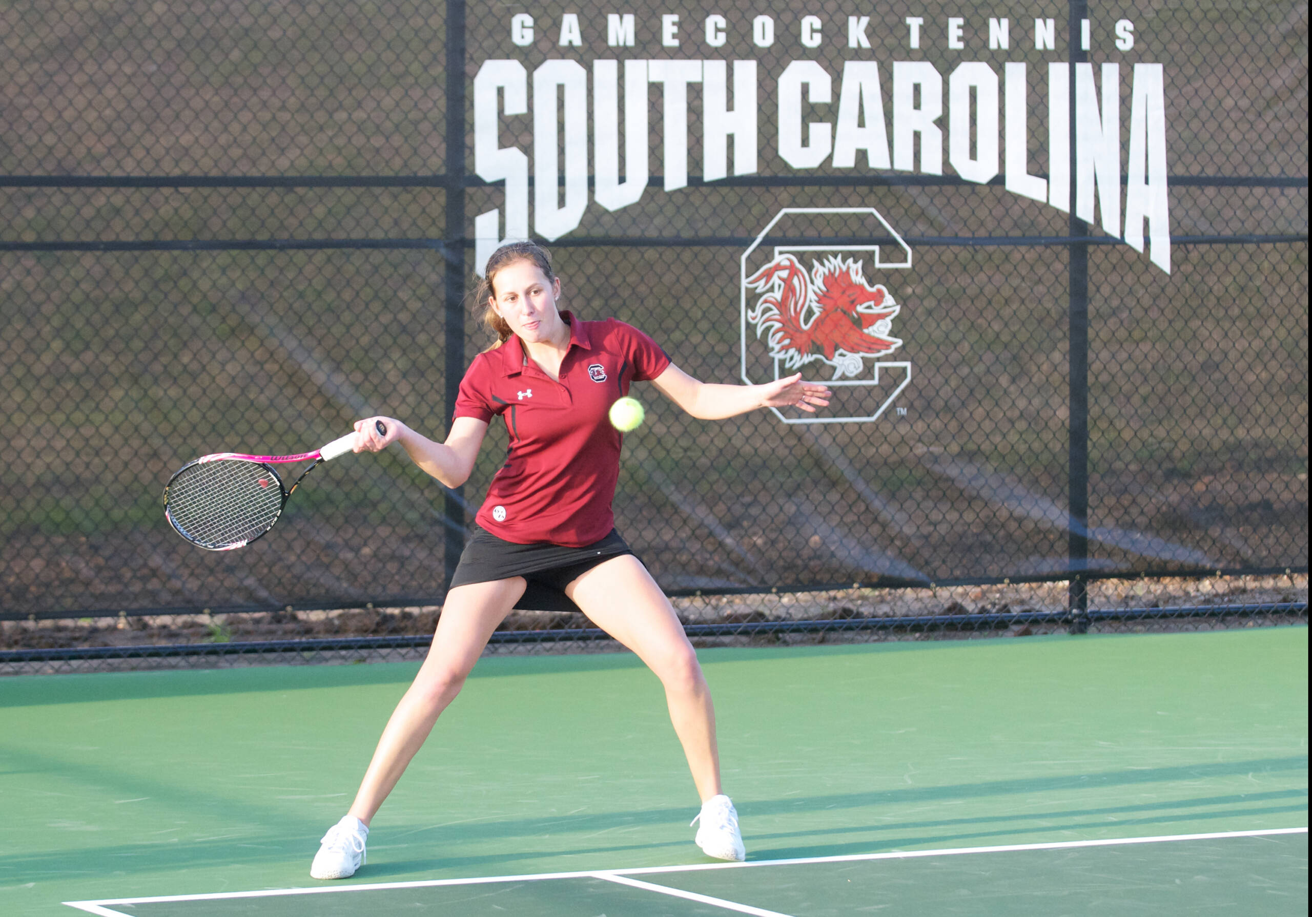 South Carolina vs. Furman (1/25/2012)