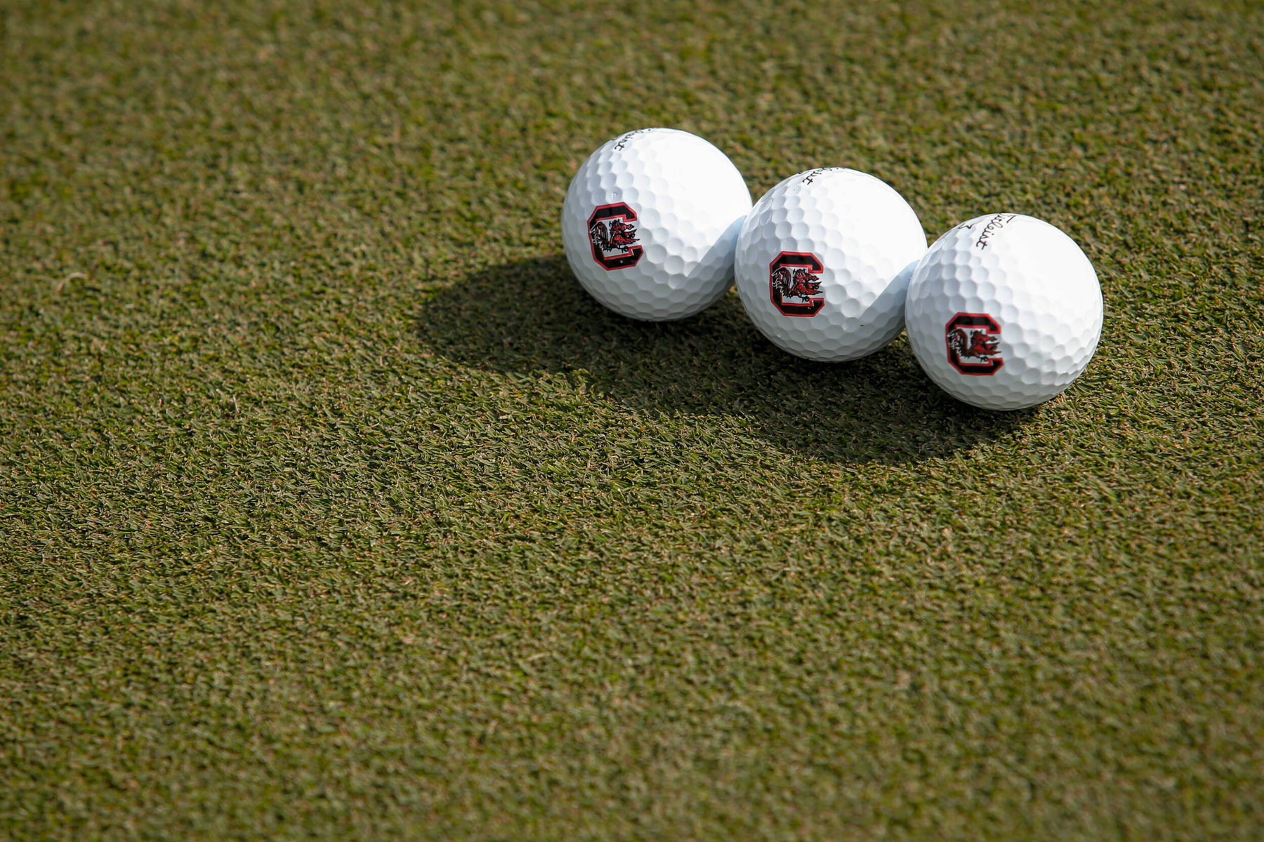 Trio of Gamecock Golfers Named CSC At-Large Academic All-District