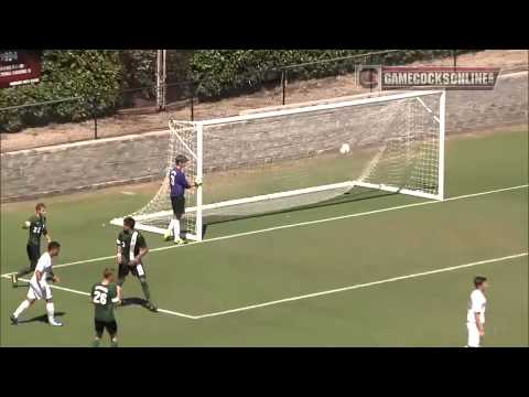 Highlights: South Carolina Men's Soccer vs. Dartmouth - 2013