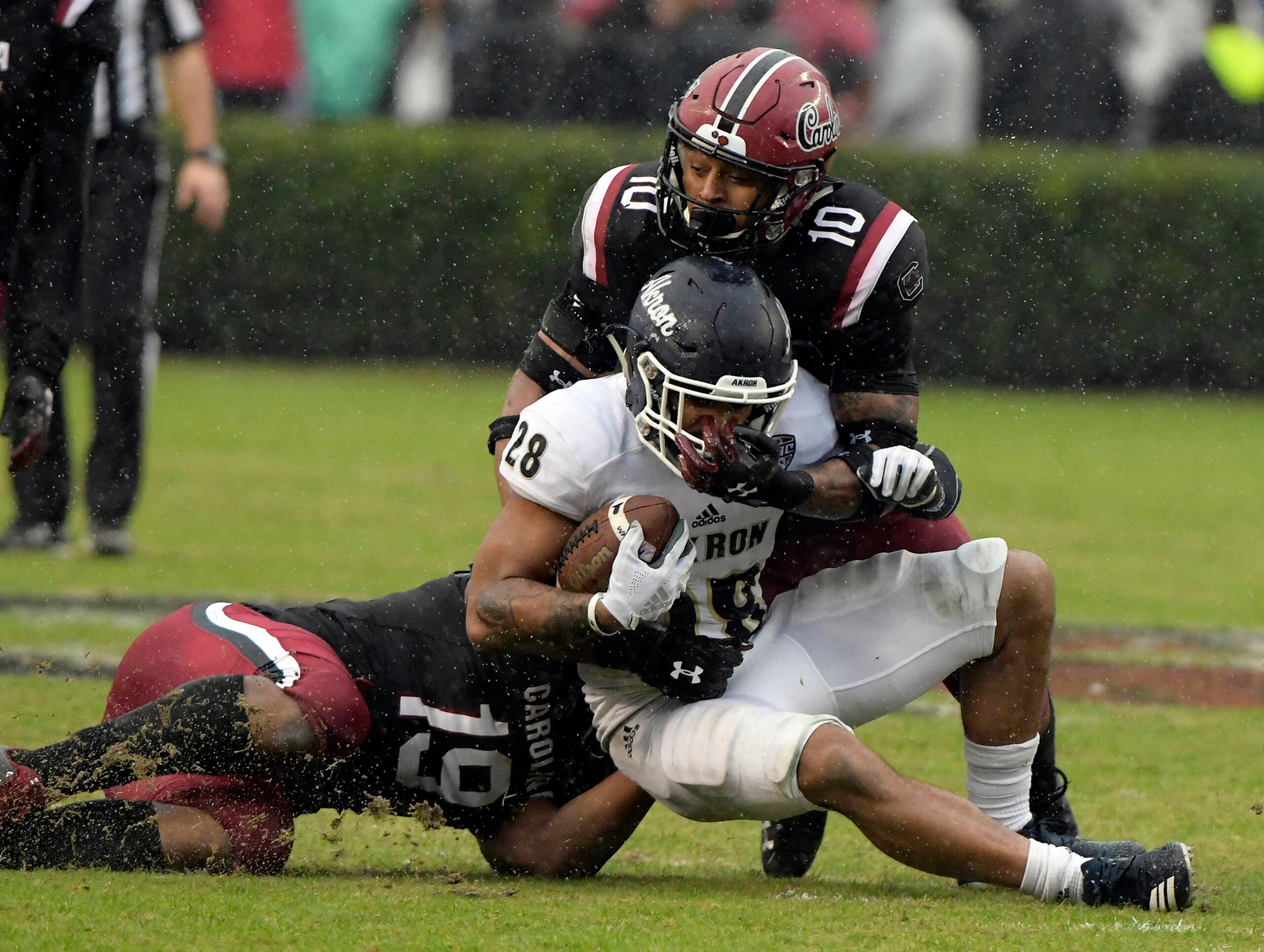 Gamecocks and Zips Set for Saturday Night Showdown