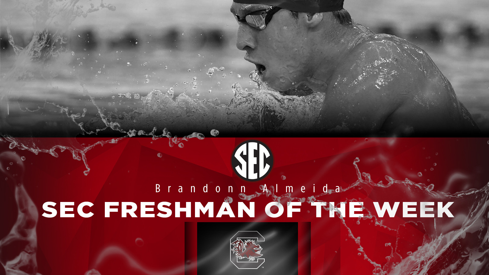 Almeida Named SEC Freshman of the Week