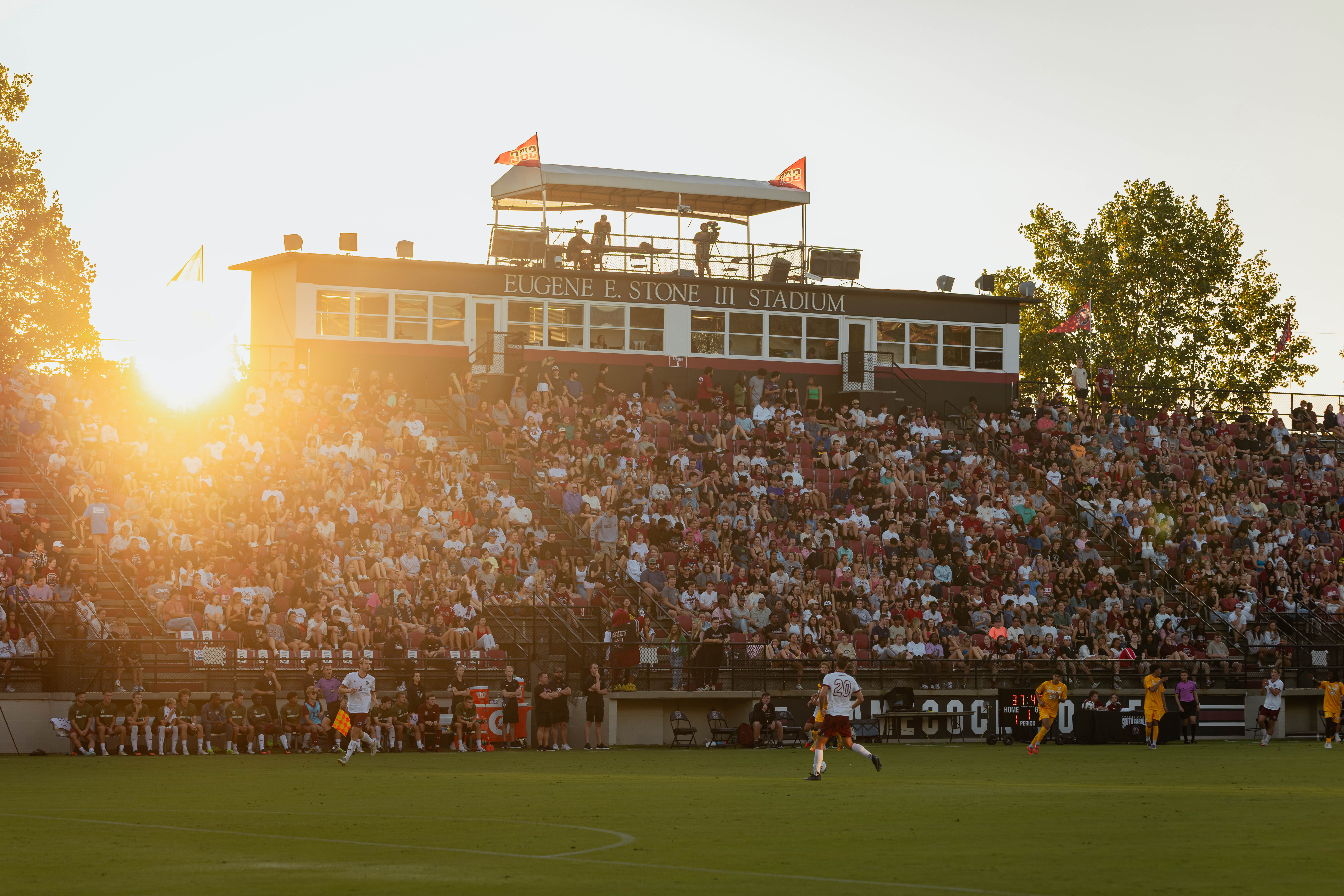 University of South Carolina men's soccer