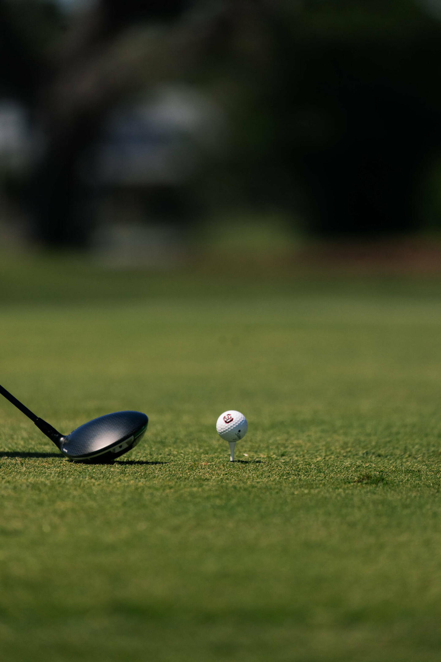 Trio of Gamecock Golfers Named CSC At-Large Academic All-District