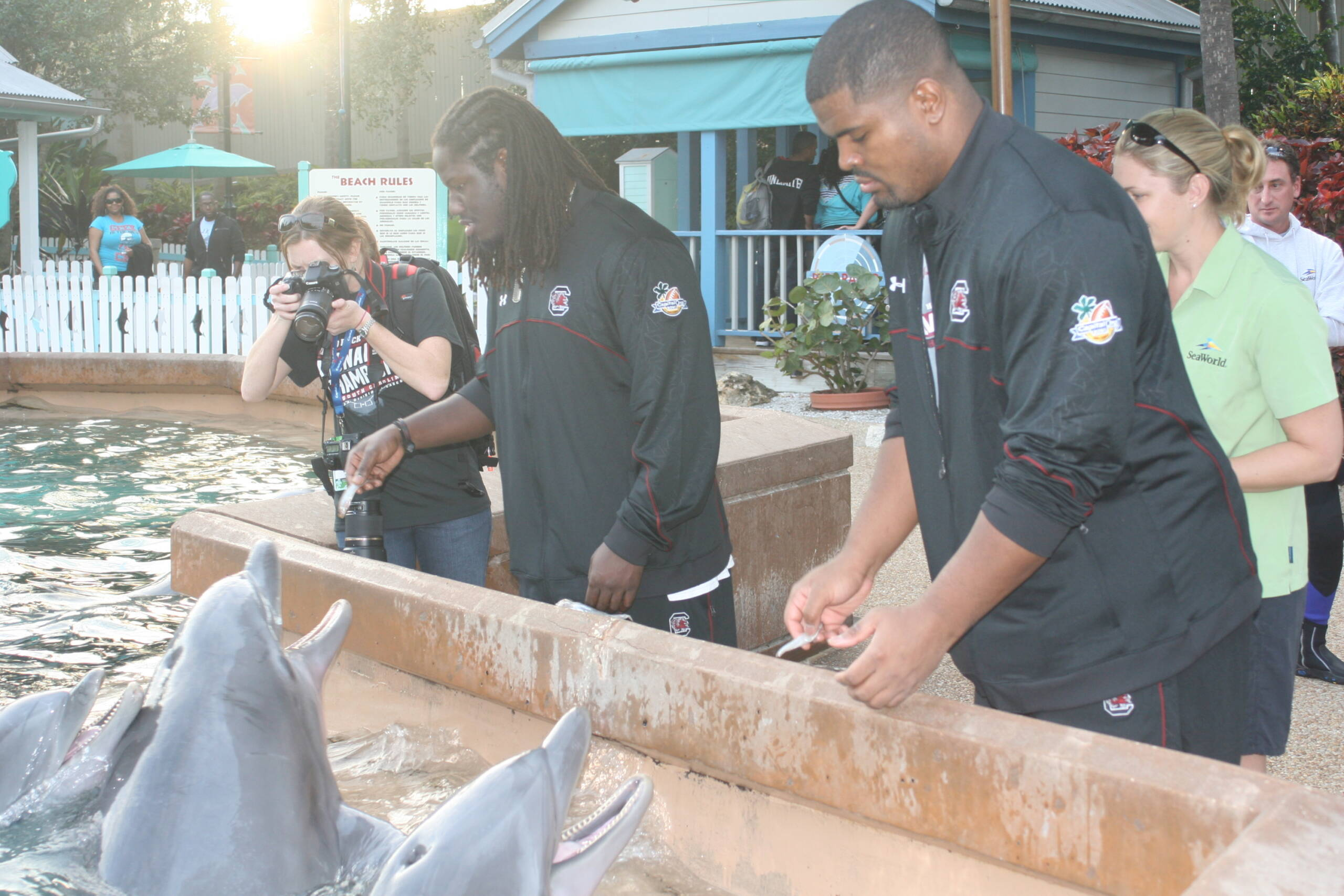 Gamecocks Dolphin Experience at SeaWorld