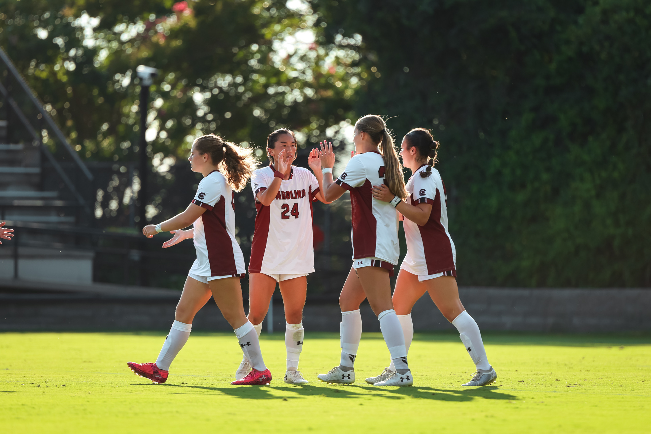 Gamecocks Stay Undefeated with 3-0 Senior Night Win