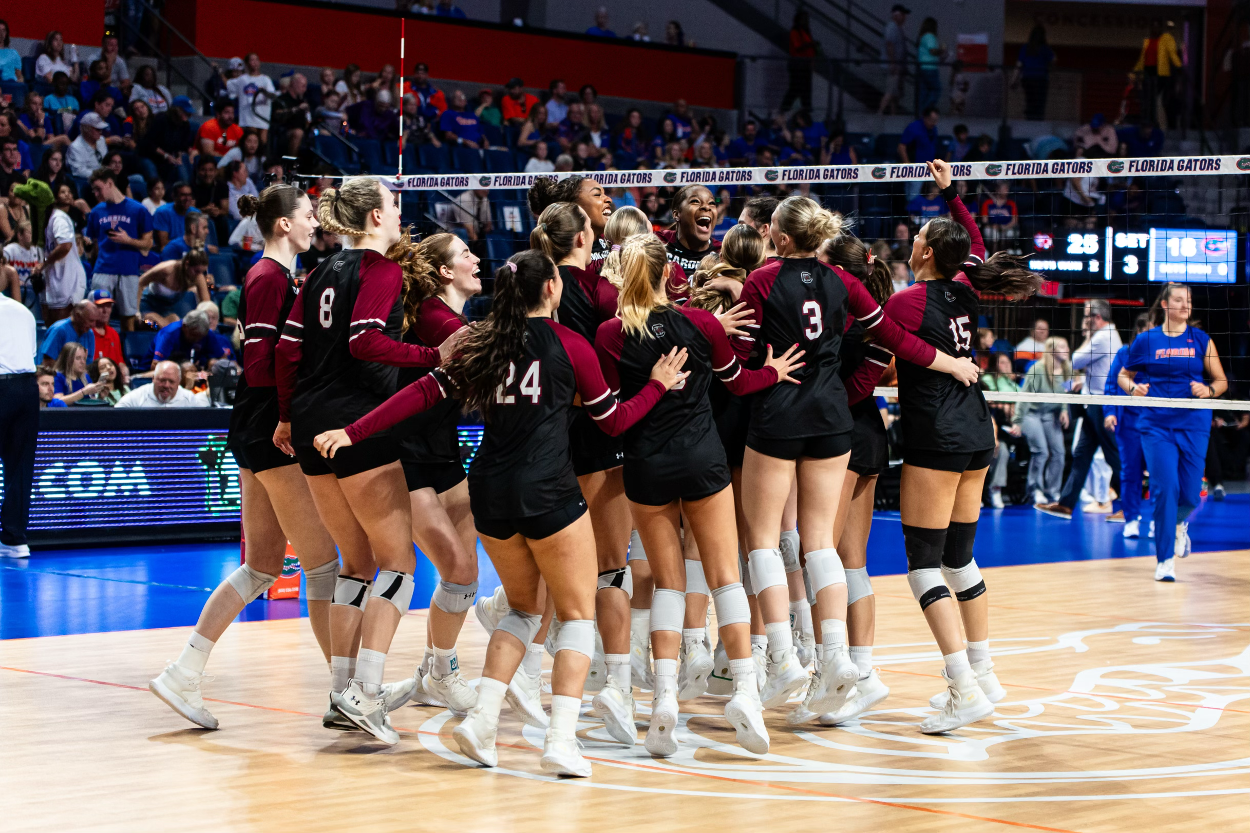 Gamecocks Snap Streak With Three-Set Romp Over No. 19 Florida