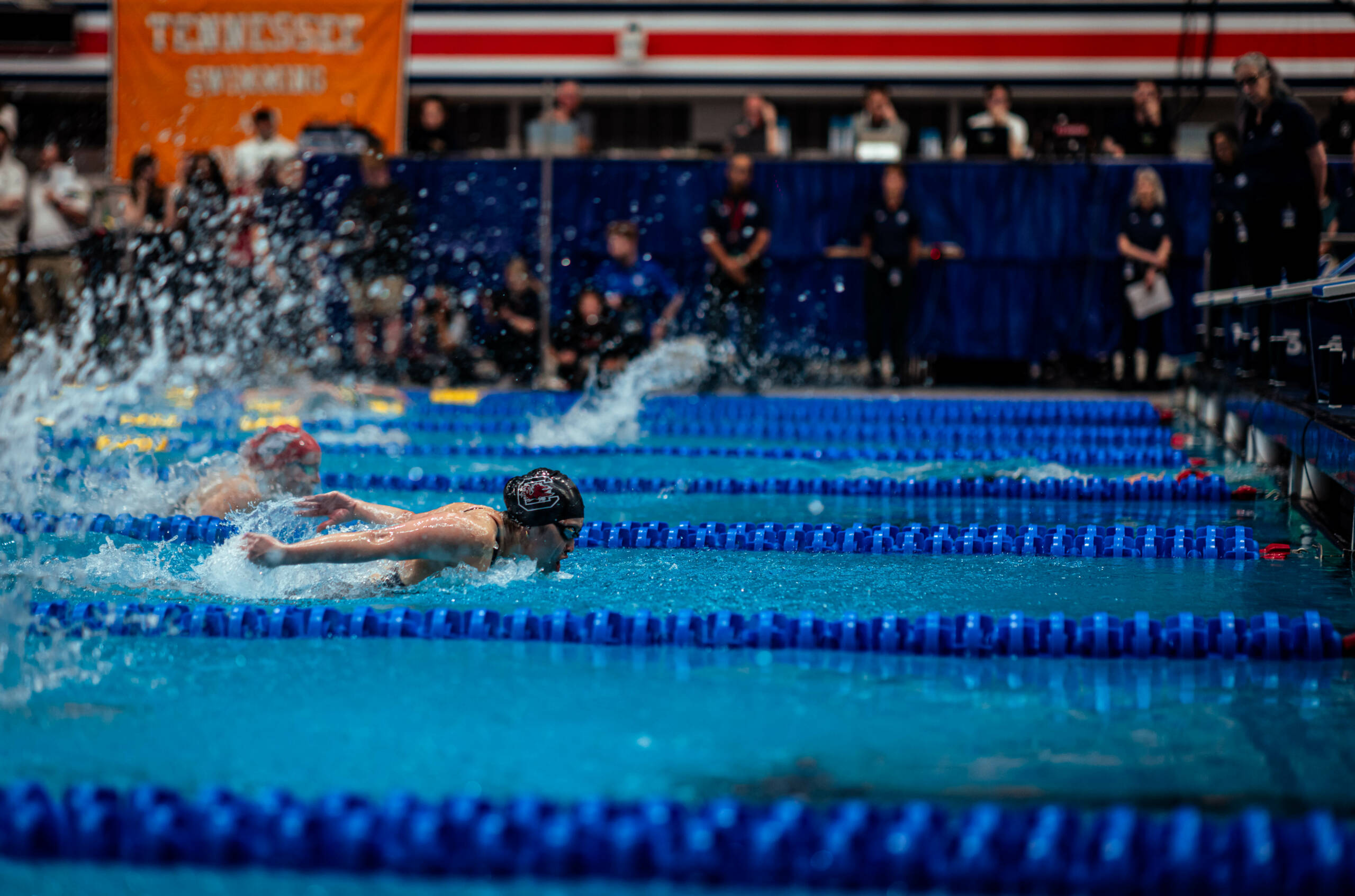 Six Swimmers Earns Spots at NCAA Championships