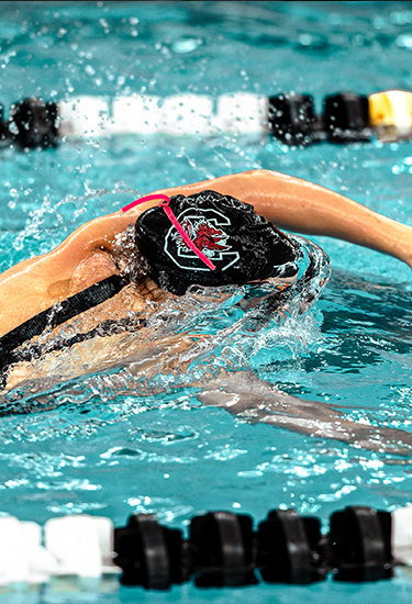 Gamecocks Host Queens for Friday Dual Meet, Diving Travels to UNCW