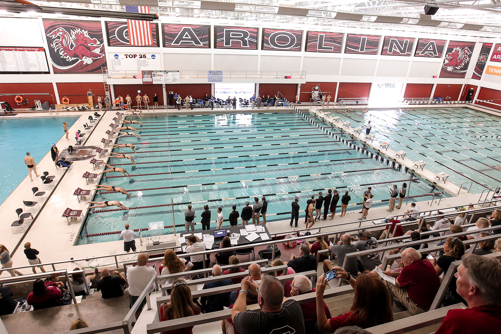 Eight Gamecocks Earn CSCAA Scholar All-America Honors