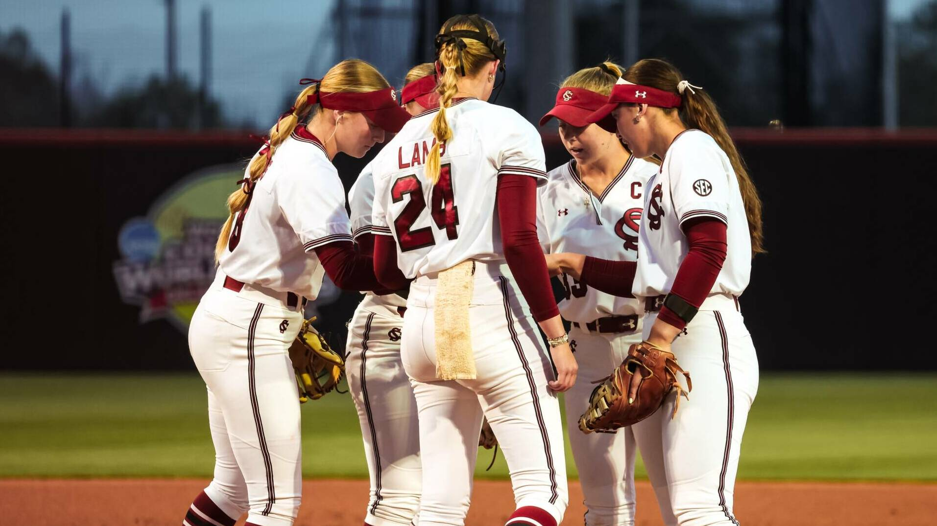 Gamecocks Drop First Game of Palmetto Series