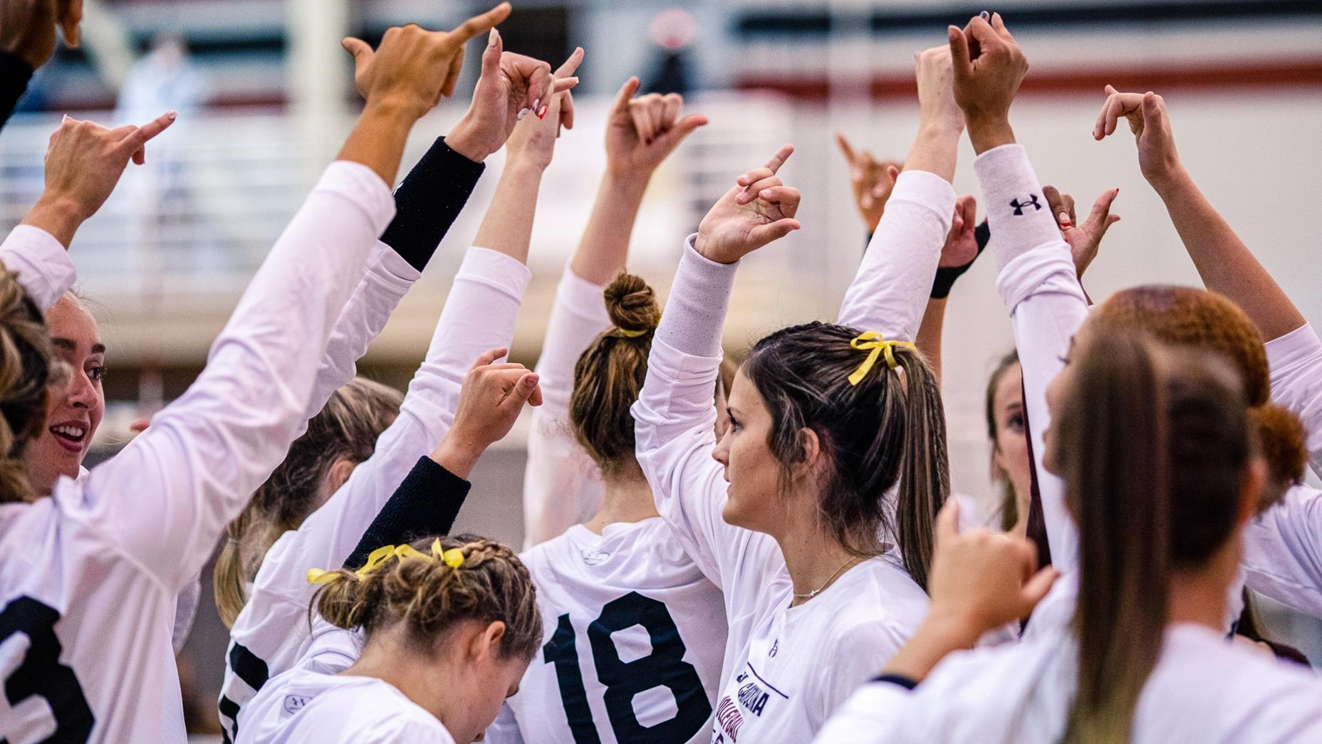 Volleyball Adds Three in Fall Signing Period