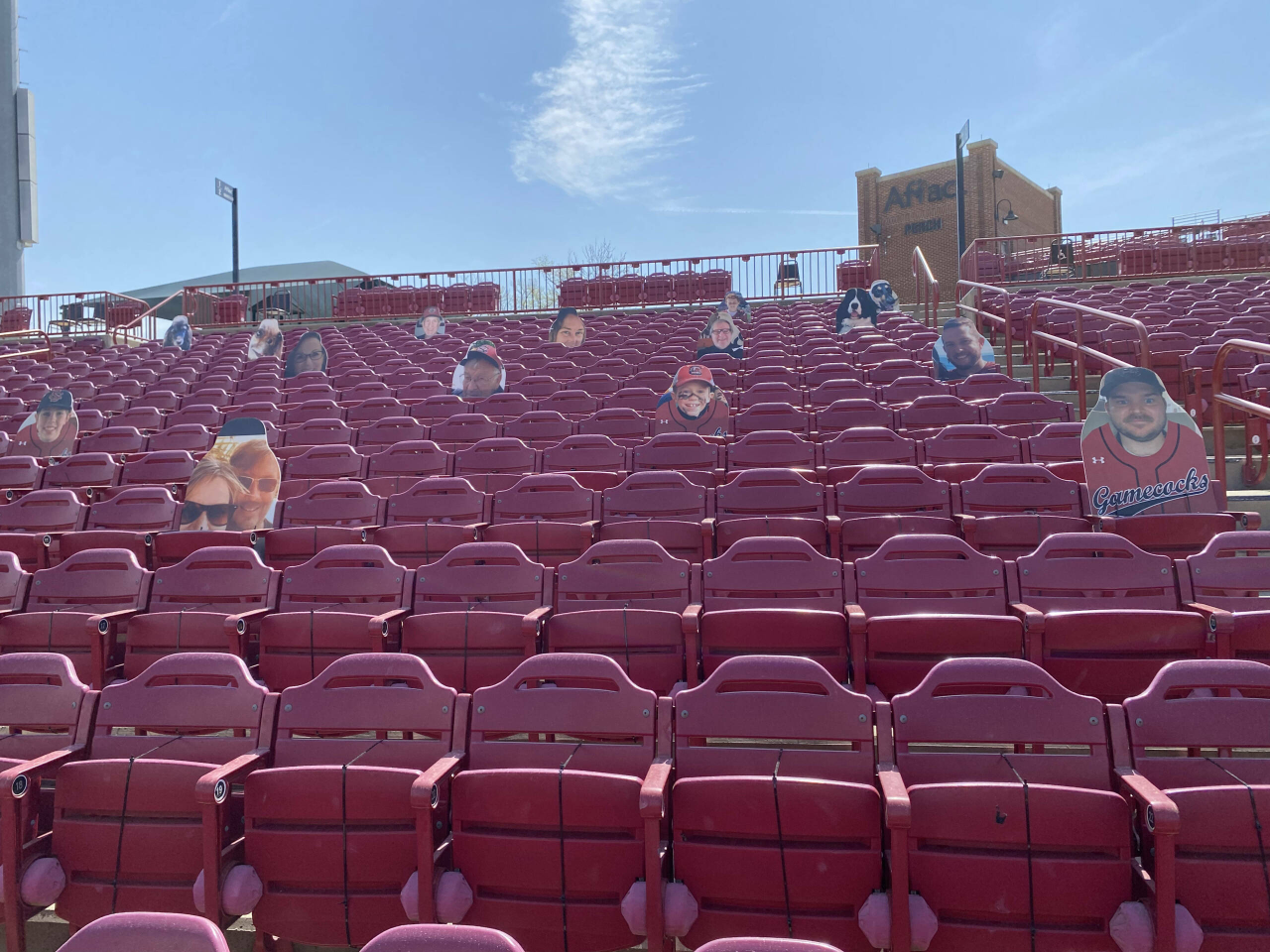 Foul Ball Zone (section 2)