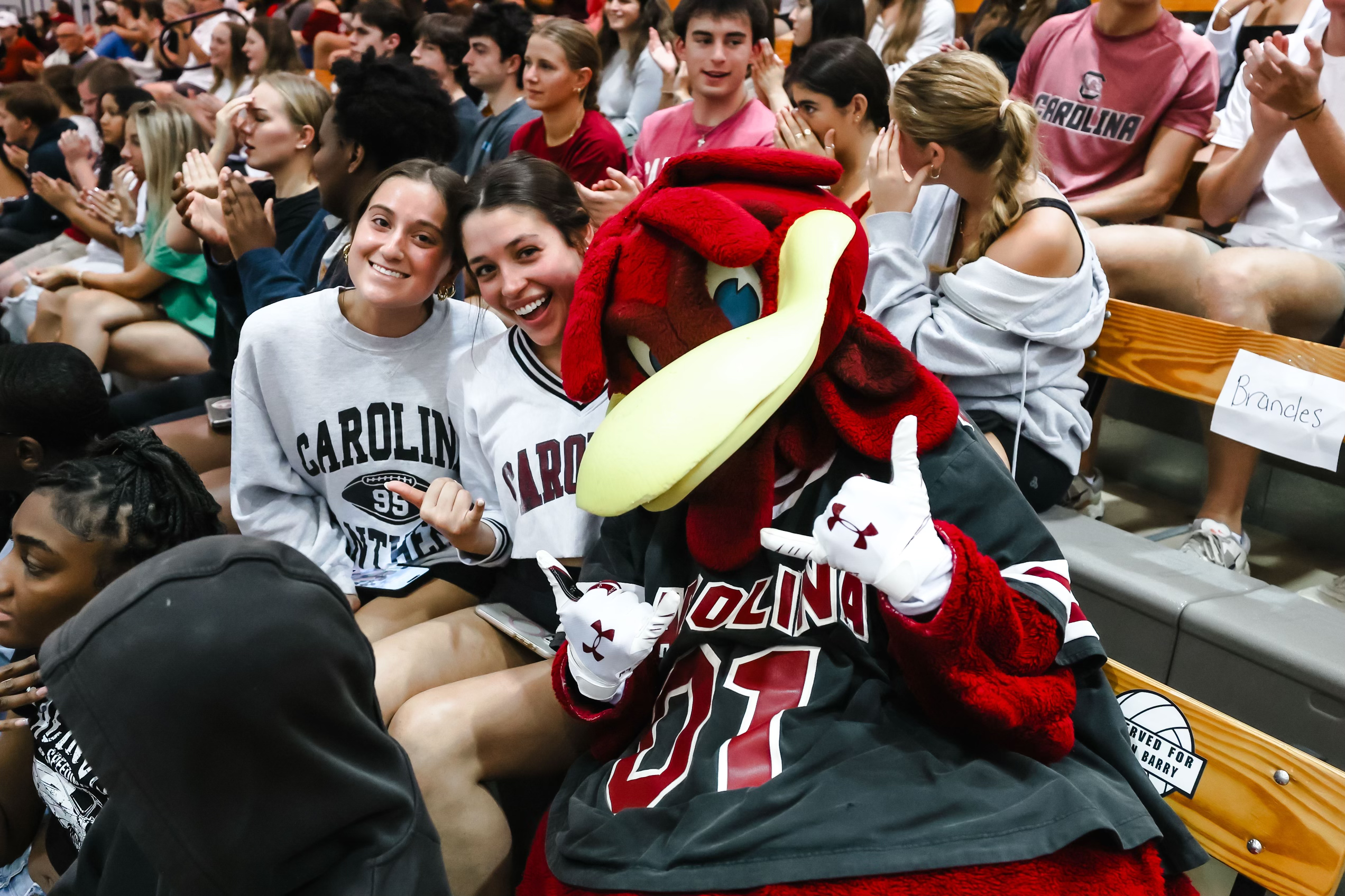 Gamecocks Push Win Streak to Seven – University of South Carolina Athletics