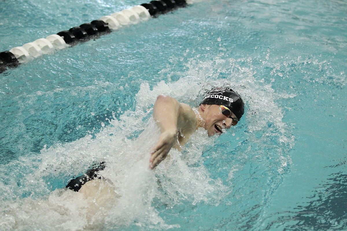 South Carolina vs NC State- 10/12/18