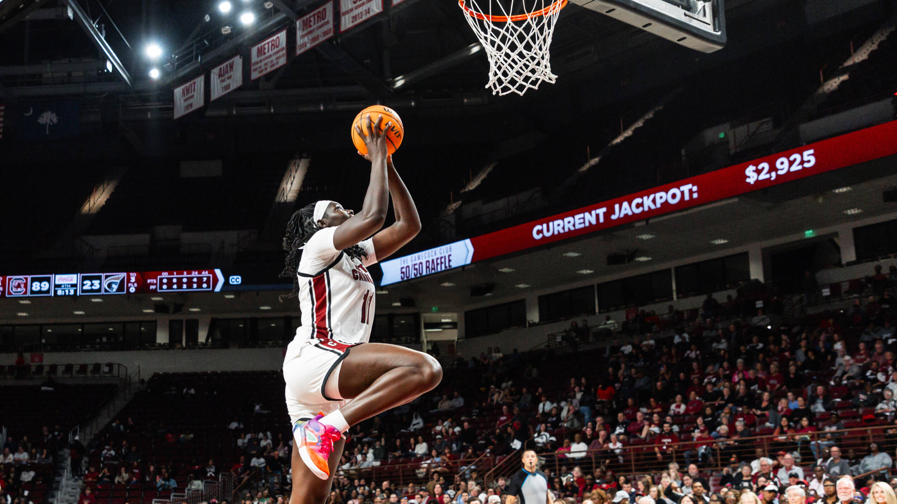 Gamecocks Host Tigers on Tuesday