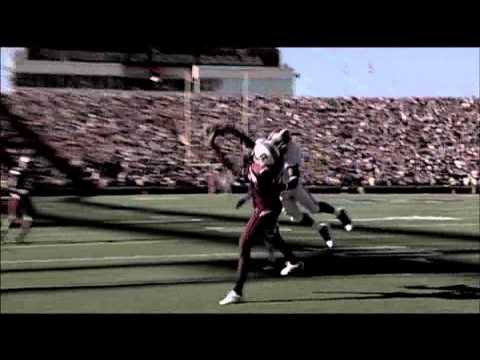 2011 South Carolina Football - Mini Plans Available