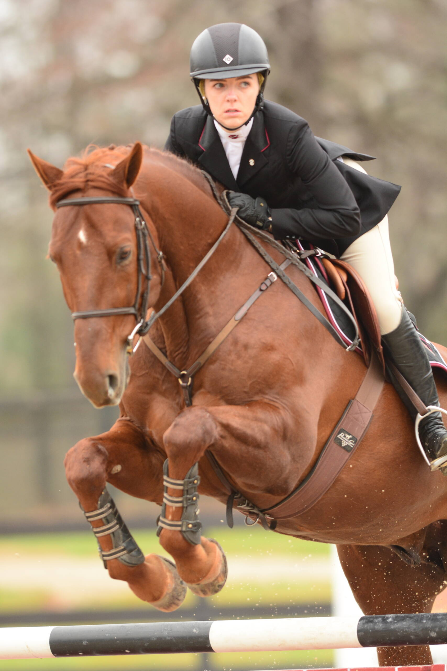 Equestrian vs. Texs A&M - 2/10/17