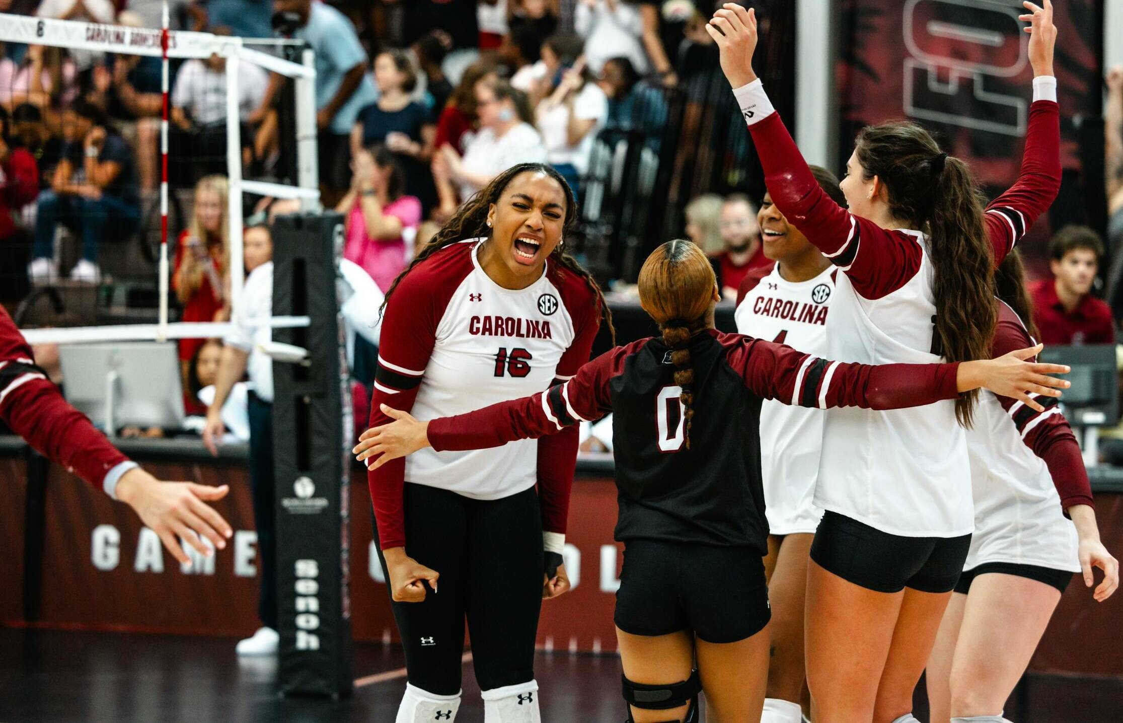 Gamecocks Scrub Tar Heels in Three Sets