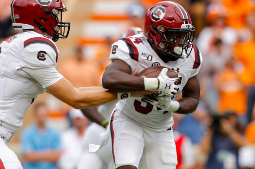 The South Carolina Gamecocks took on the Tennessee Volunteers in a Southeastern Conference Eastern Division contest on Shields-Watkins Field at Neyland Stadium in Knoxville, Tennessee, on Saturday, Oct. 26, 2019. (Photo by Danny Parker)

