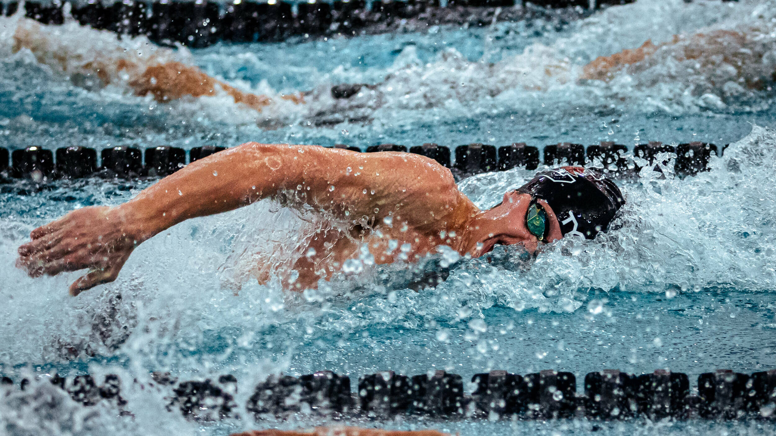 Gamecocks Face Seminoles for Friday Dual Meet