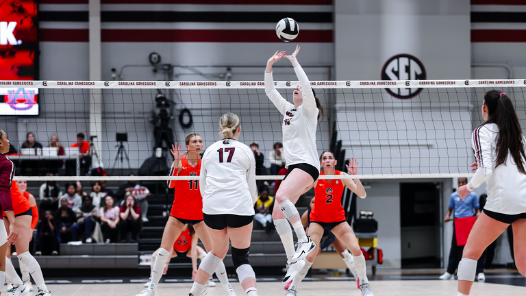 University of South Carolina Athletics