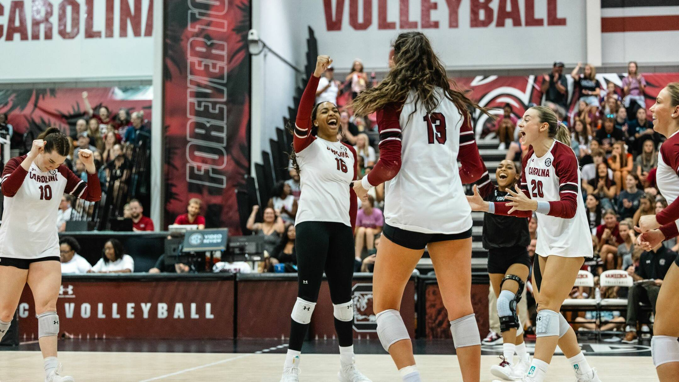 Volleyball Offers Free Admission for Final Two Home Matches of 2024