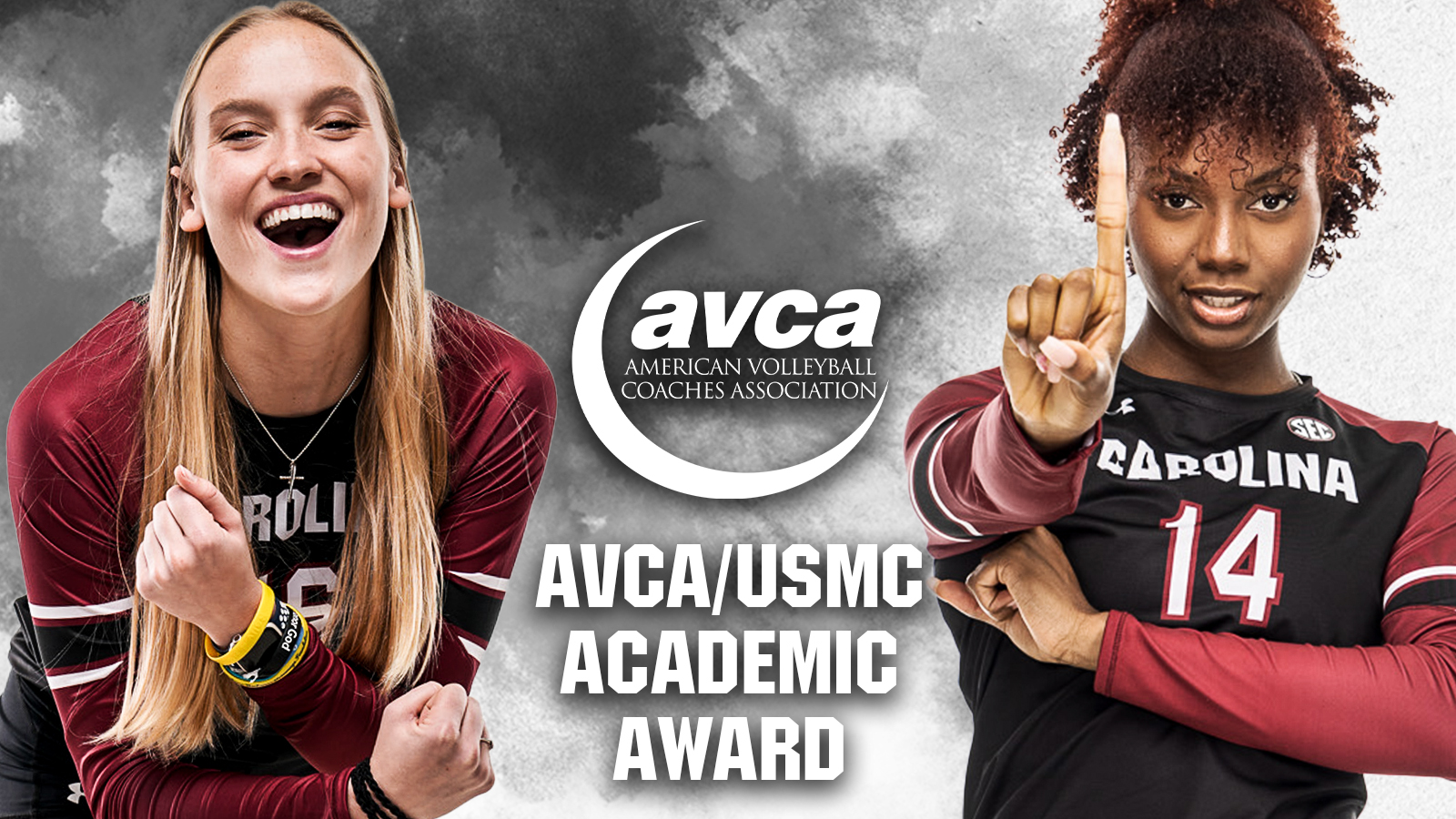 Gamecocks Extend Streaks for AVCA Team Academic Honors