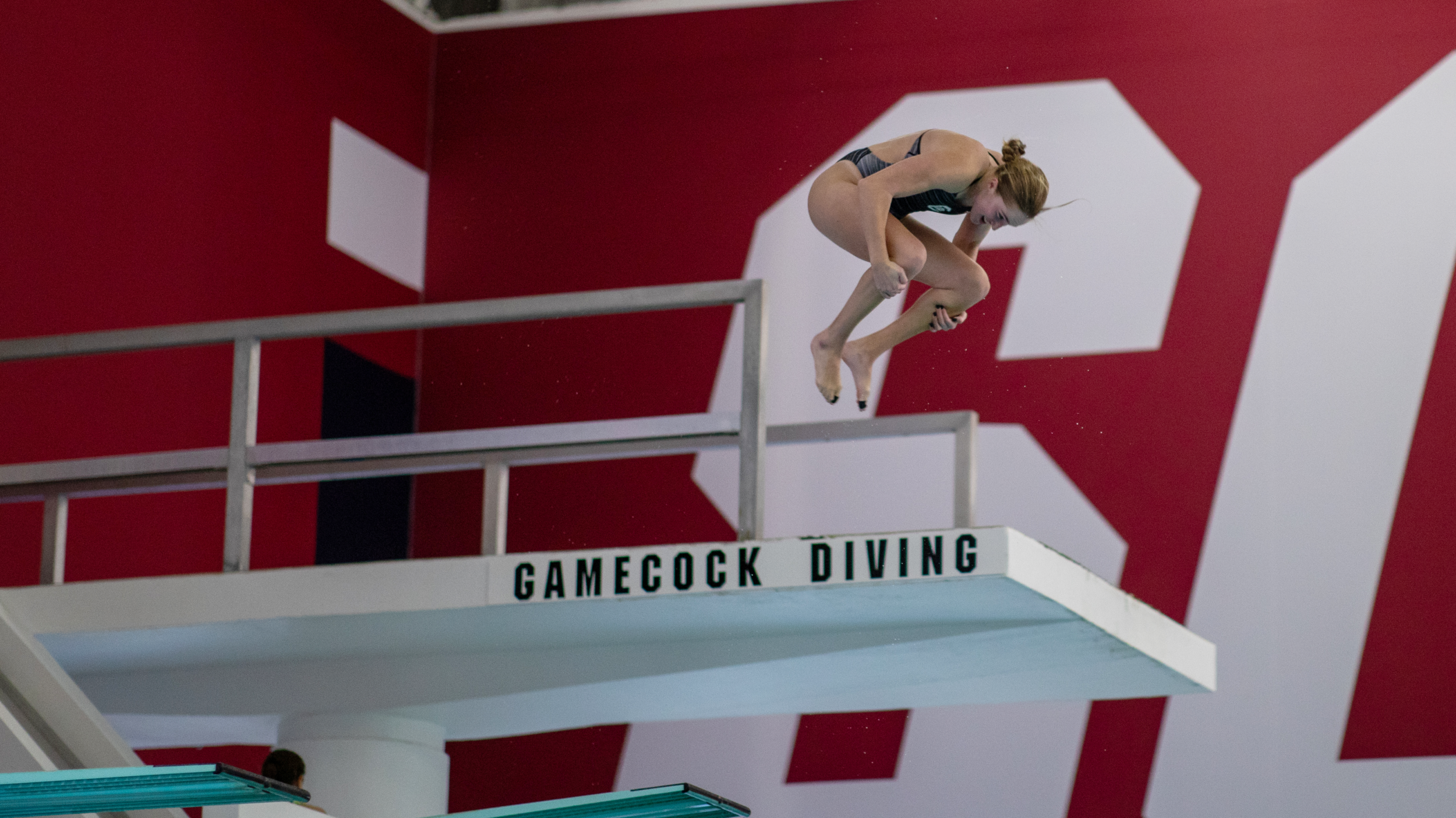 Gamecocks to Compete in Tennessee Diving Invitational